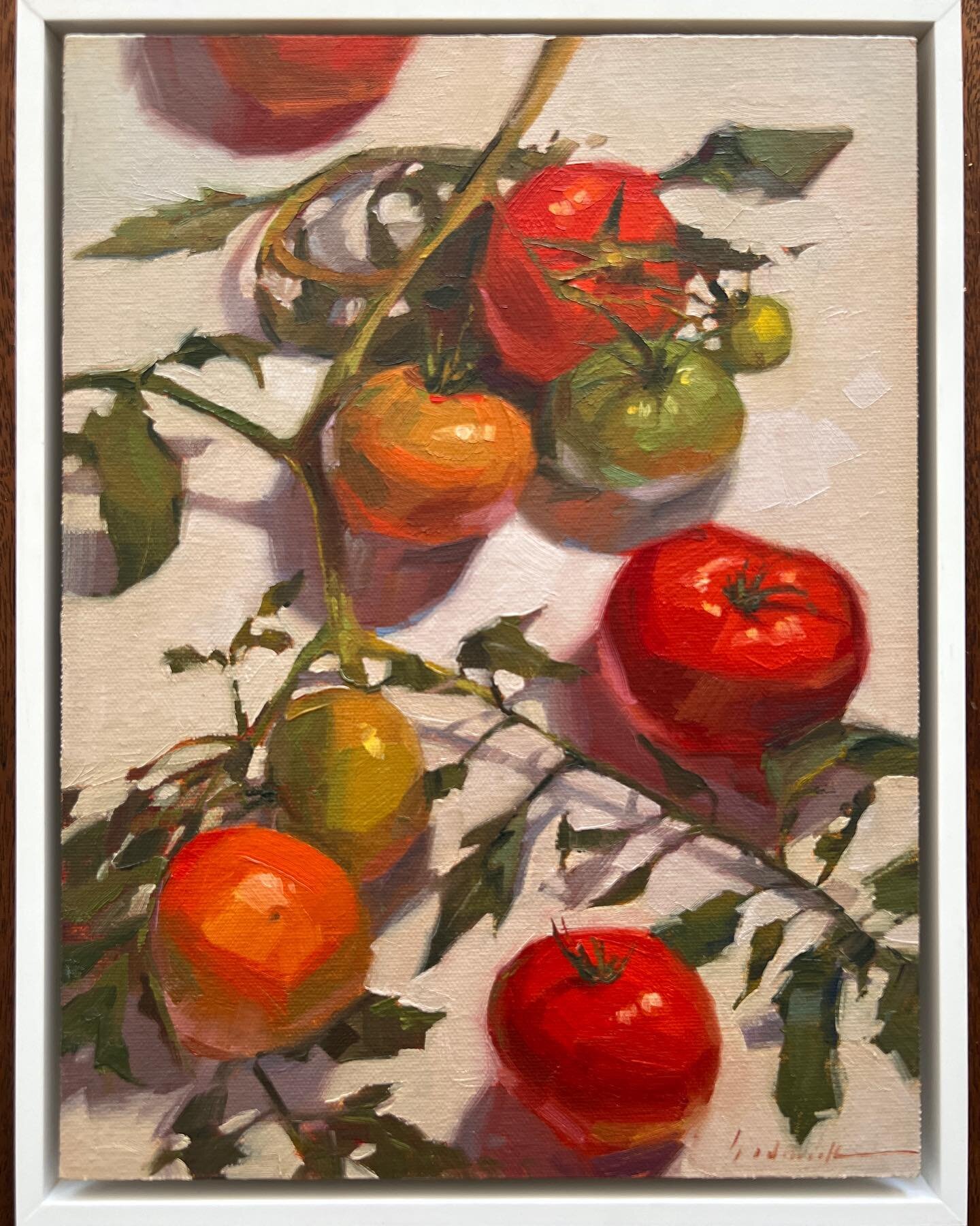 @sedwickstudio - &ldquo;Tomato Tango&rdquo; - 9x12&rdquo; oil framed in this beautiful white float frame - Available