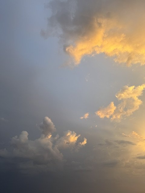 IMG_8994.jpeg