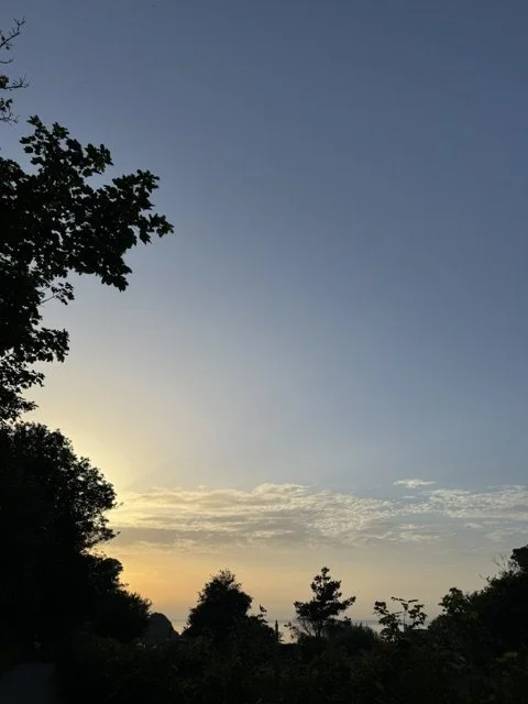 IMG_8810.jpeg