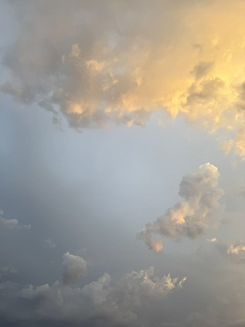 IMG_8983.jpeg