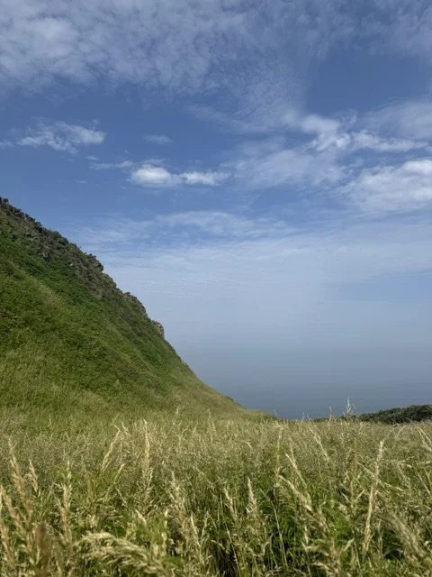 IMG_8753.jpeg