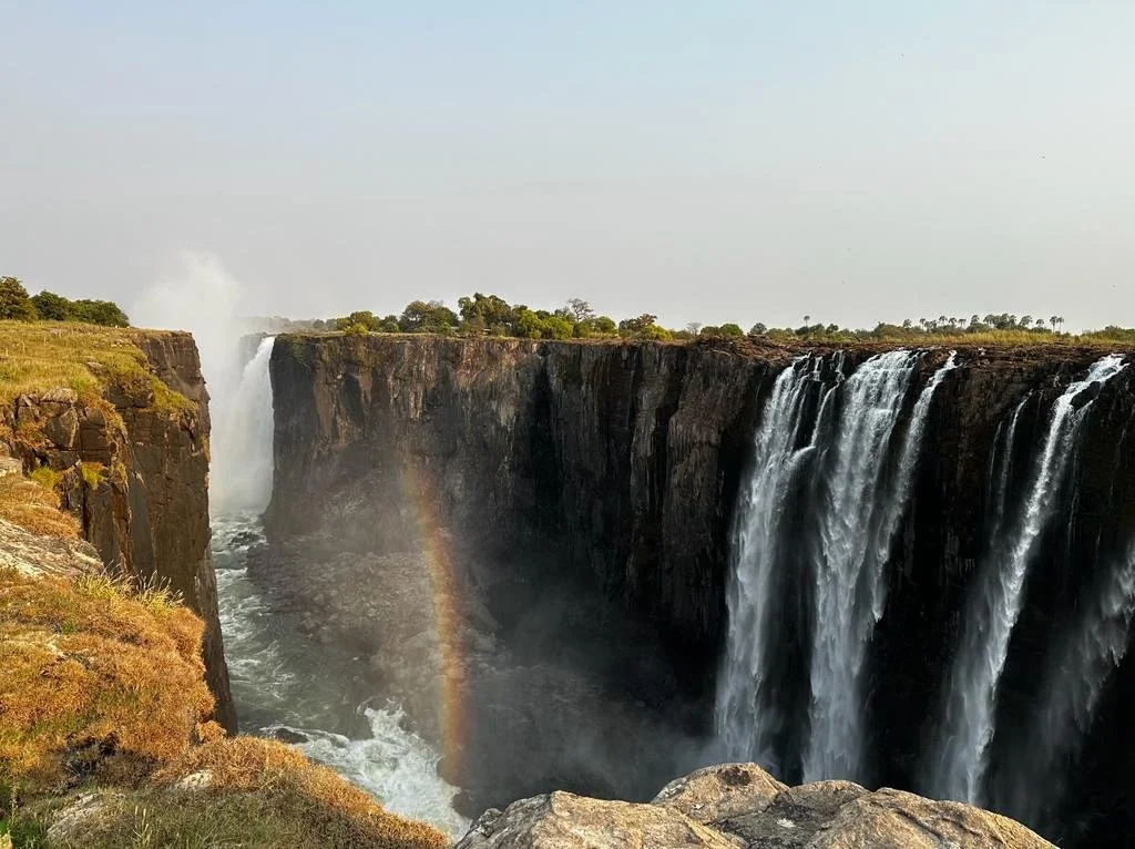 THE PERSONALISED OPTION