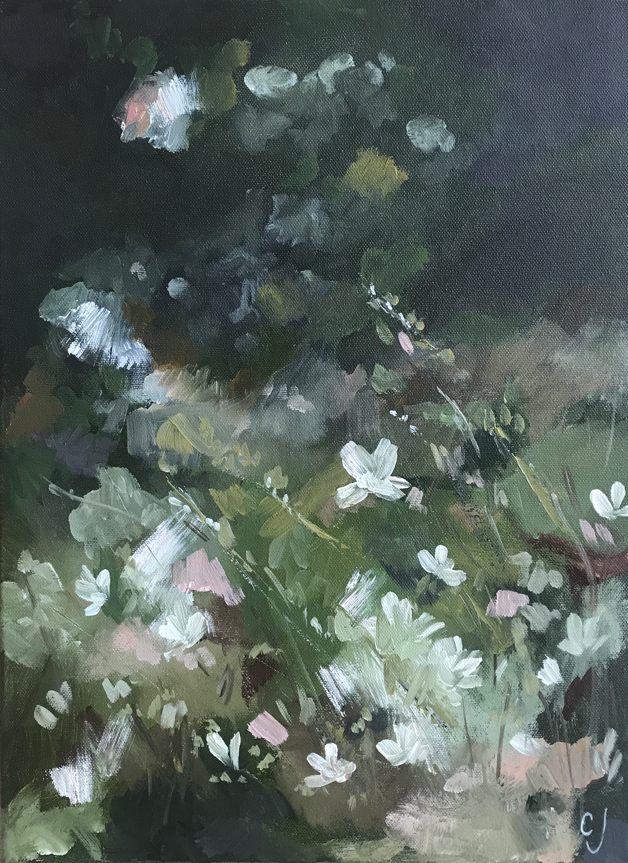 SPRING VI.png