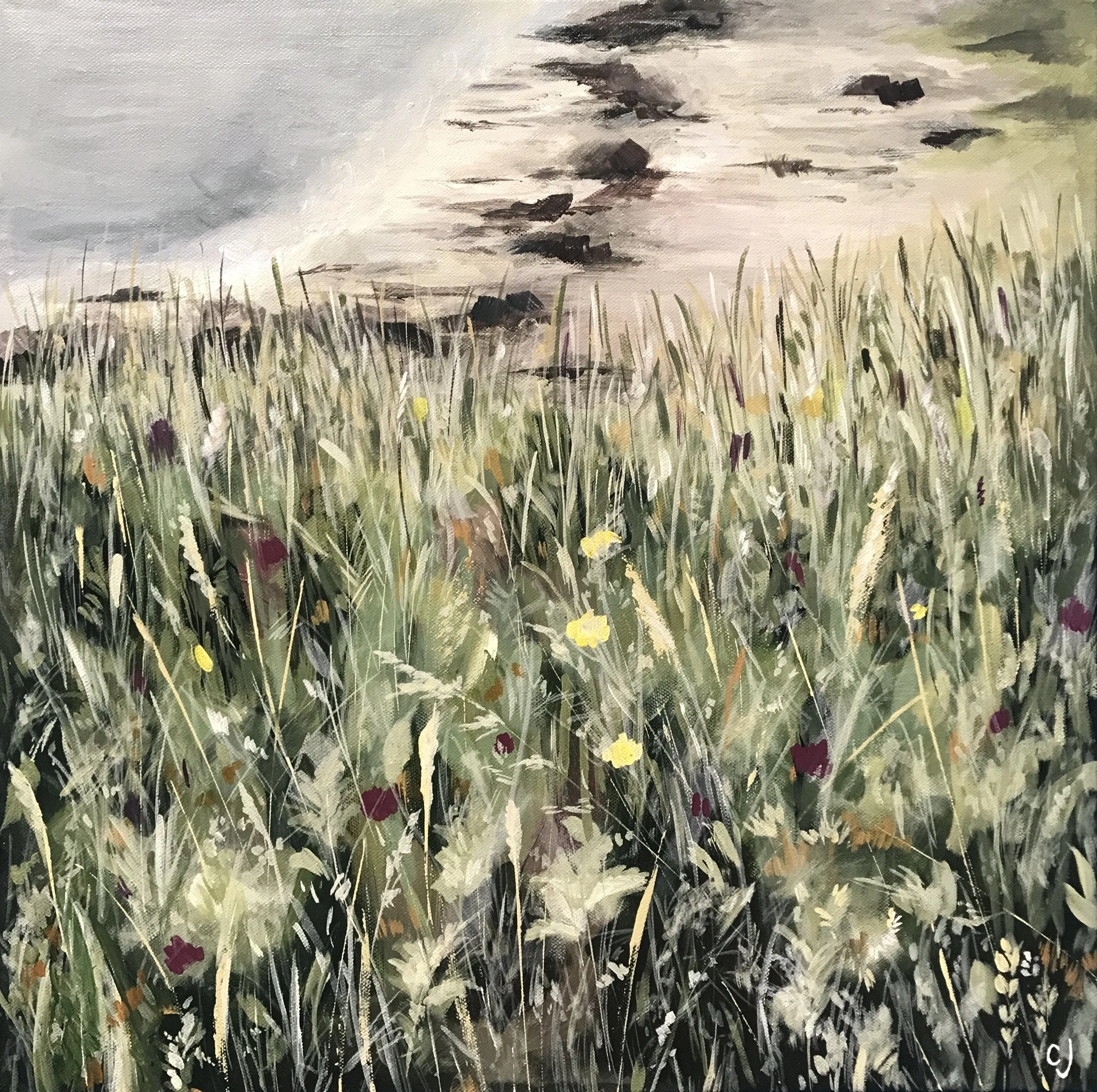 CJ_D10 Coastline Flora Eriskay Flowers II_50x50cm.jpeg