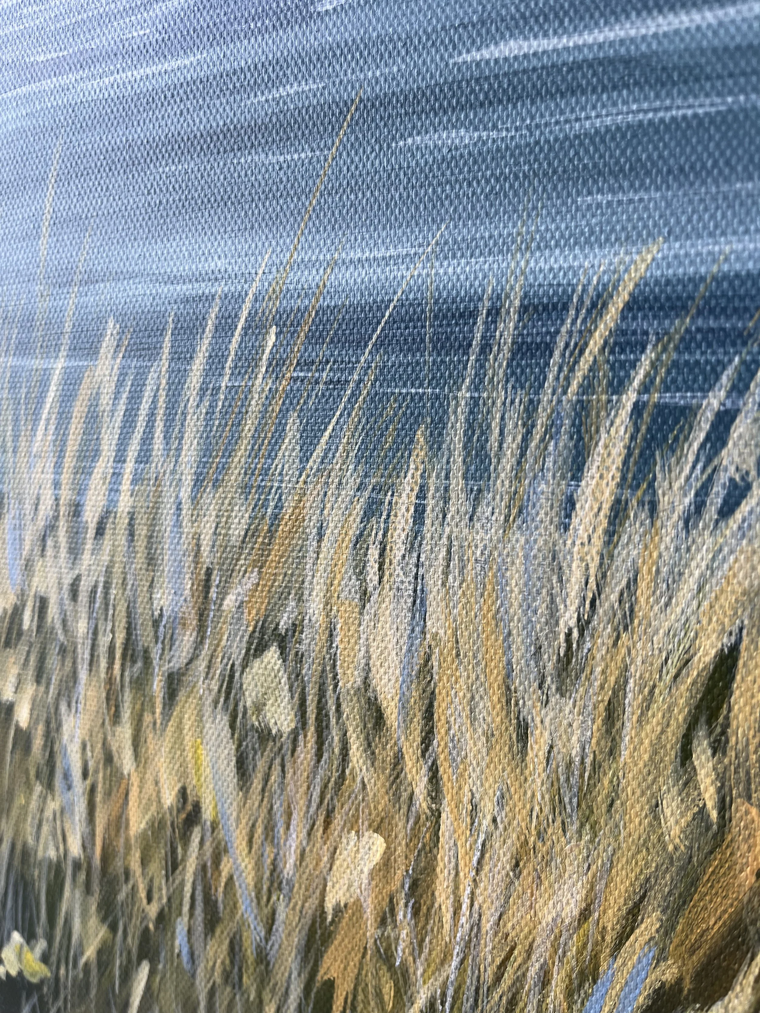 coastal path_05.jpg