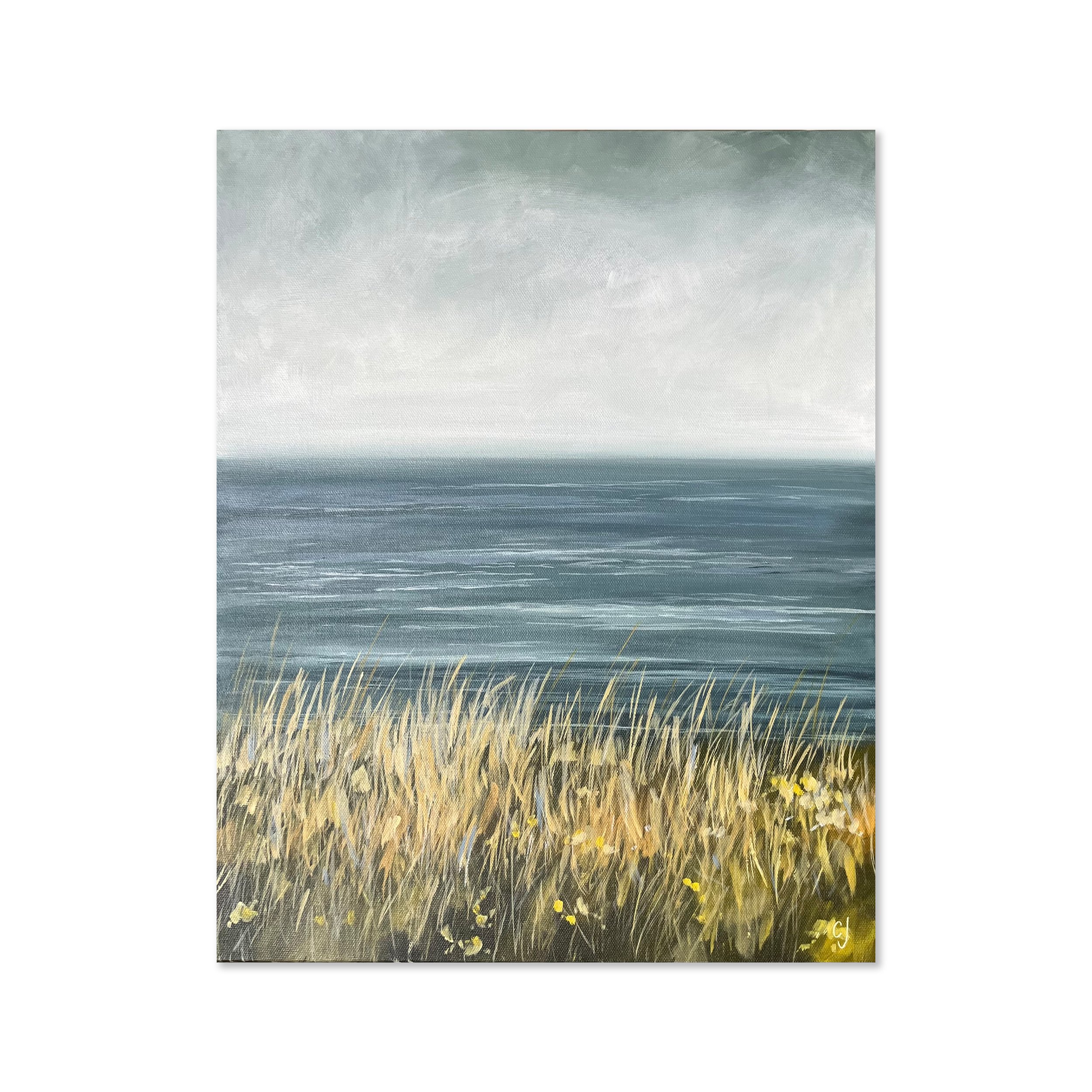 Walks along the coastal path