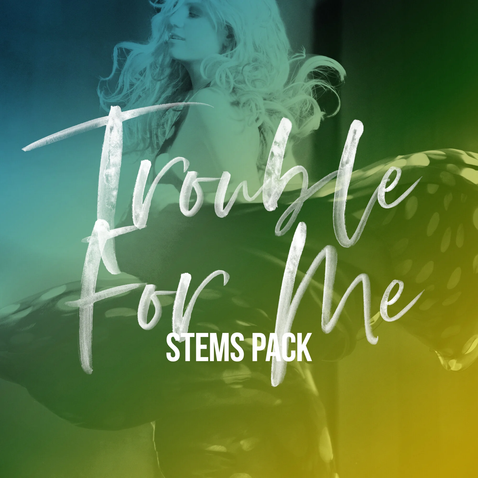Trouble For Me_Stems_Main.jpg