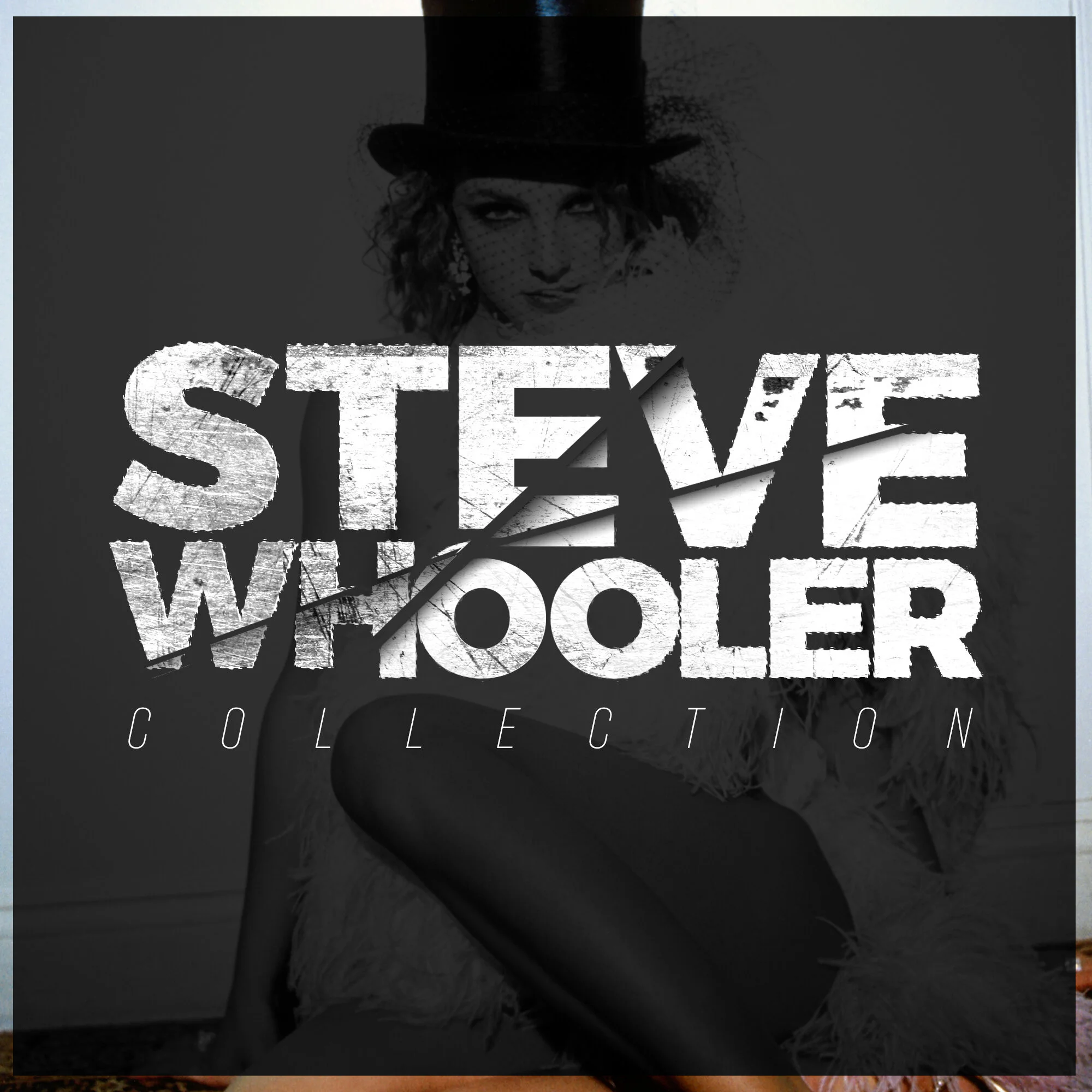 Steve Whooler Collection_Fanmade_Main.jpg