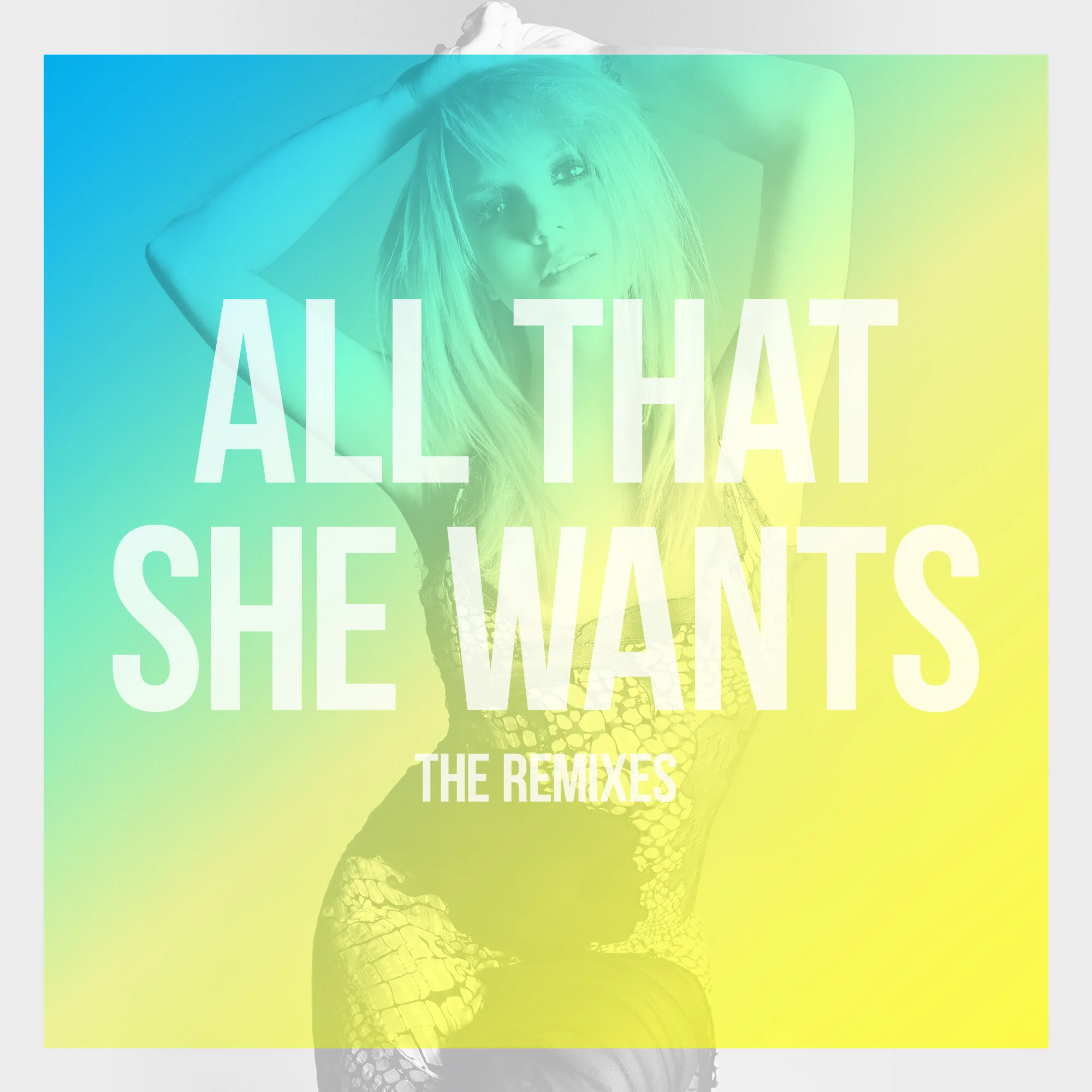 “All That She Wants” The Remixes