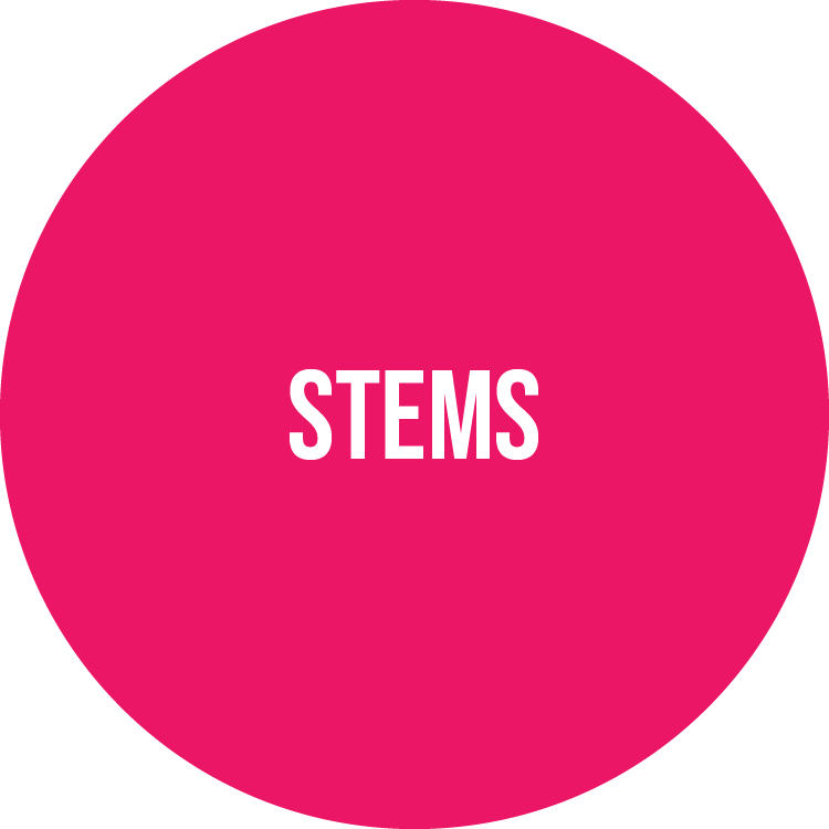 2026_WEB_Song Categories_Stems_PINK.png