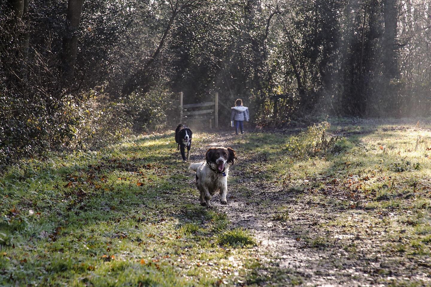 Show me your frosty images from Day 4! Feel free to Use #Lcplockdown3 !. Thank goodness it&rsquo;s the weekend and a break from homeschooling for 2 days !I don&rsquo;t mind it as it  gives us a focus but I&rsquo;m no teacher 🤪. Have a lovely weekend