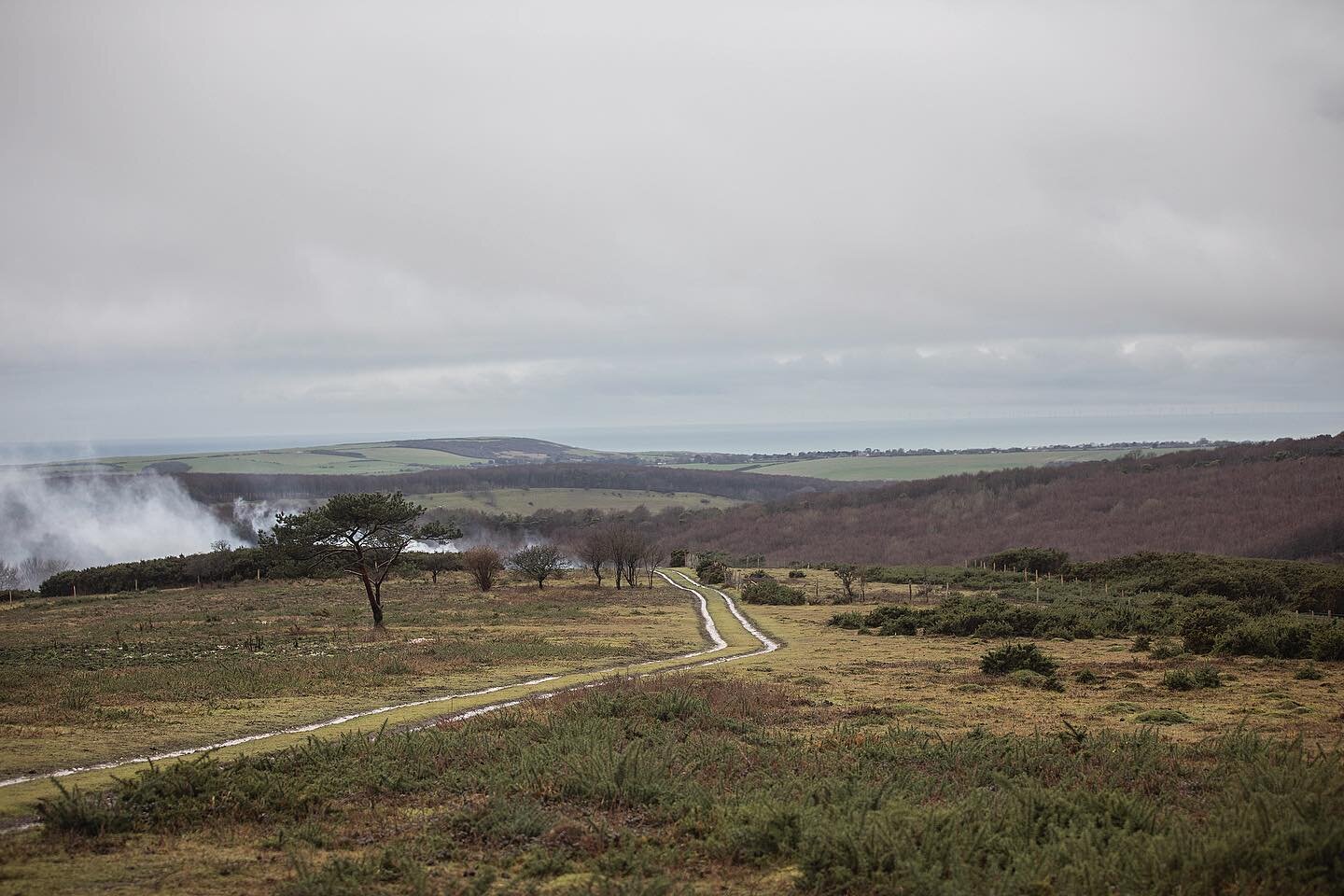 Pretty bleak but very beautiful on the hill today. Amazing to have such stunning scenery right on our doorstep. Only saw ONE pair of walkers! Despite being on permeable chalk downland I noted today just HOW wet the ground is. I remember thinking last