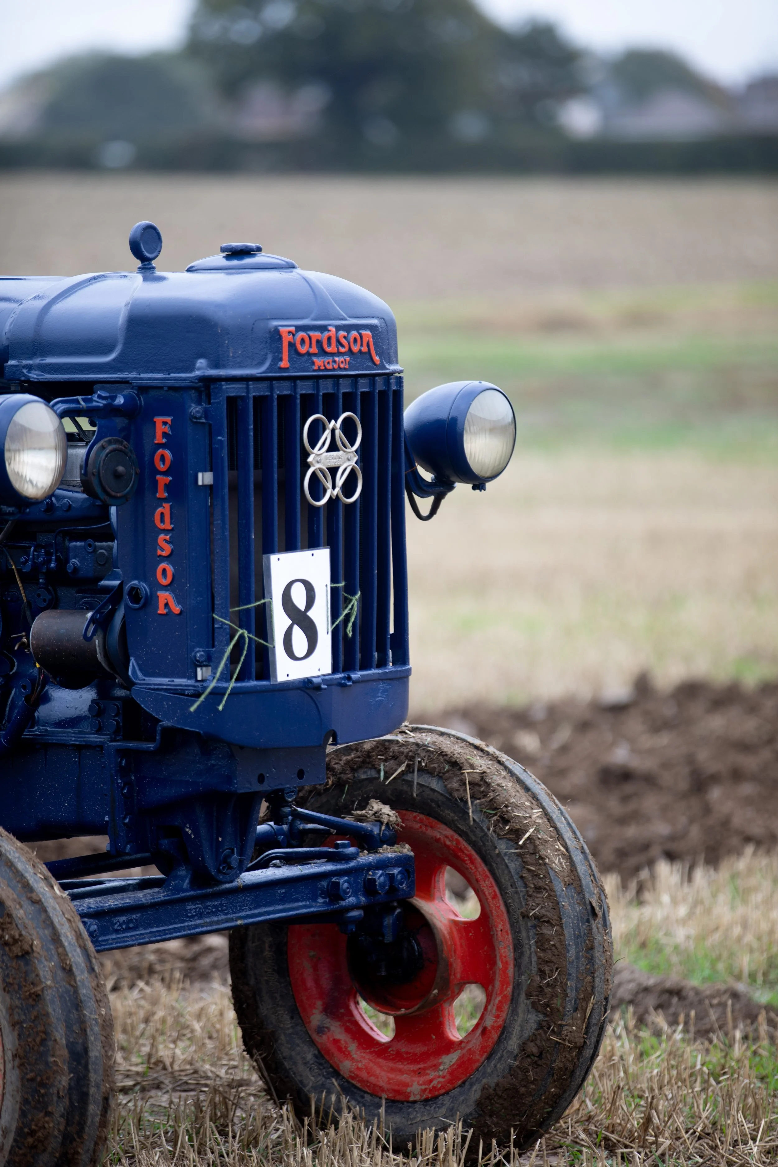 LPM 2025 (66 of 151).jpg