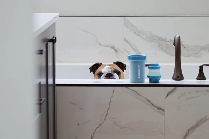 Grooming &amp; Feeding Products in New Colors by GirlPlusBulldogs