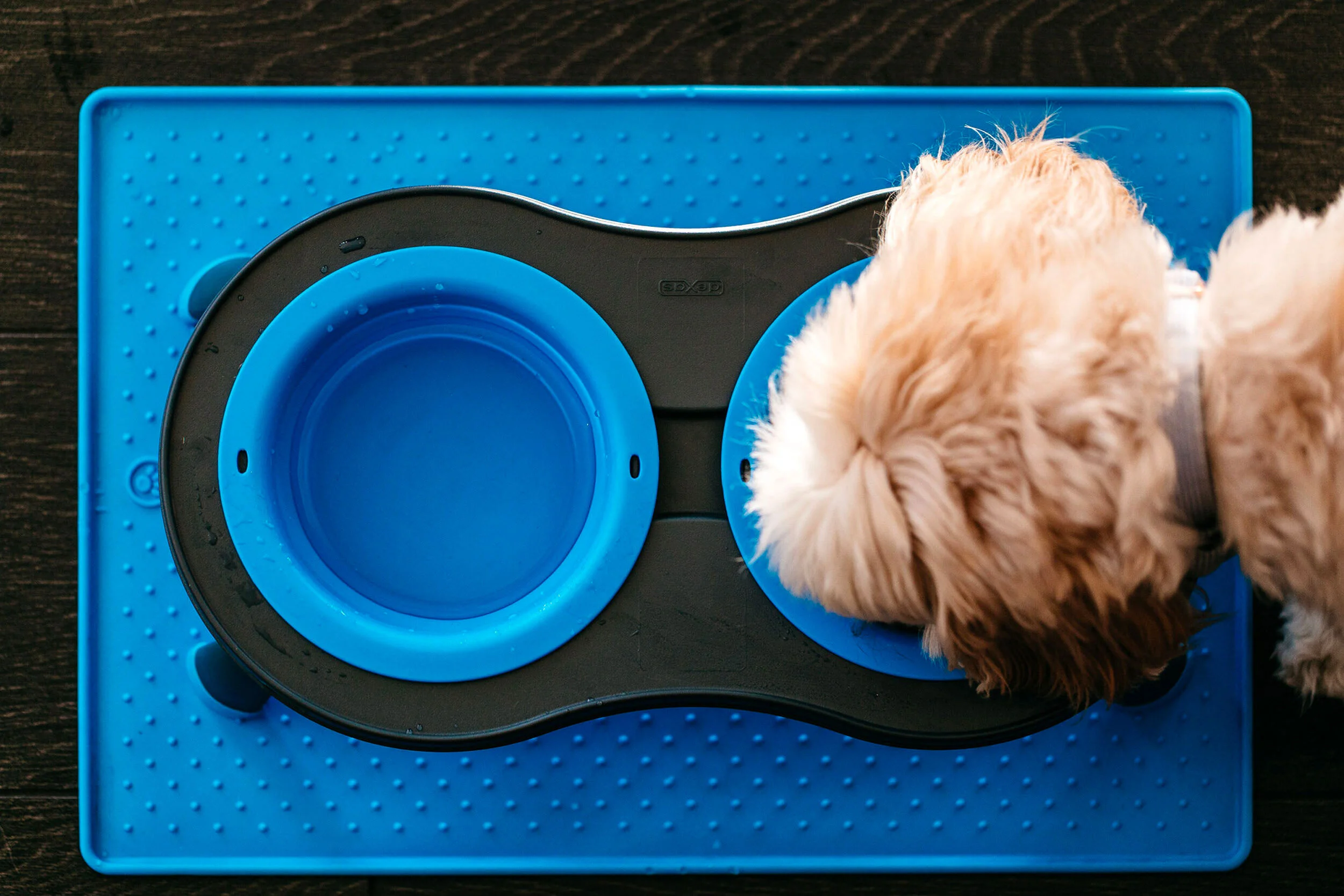 Pets are people too!