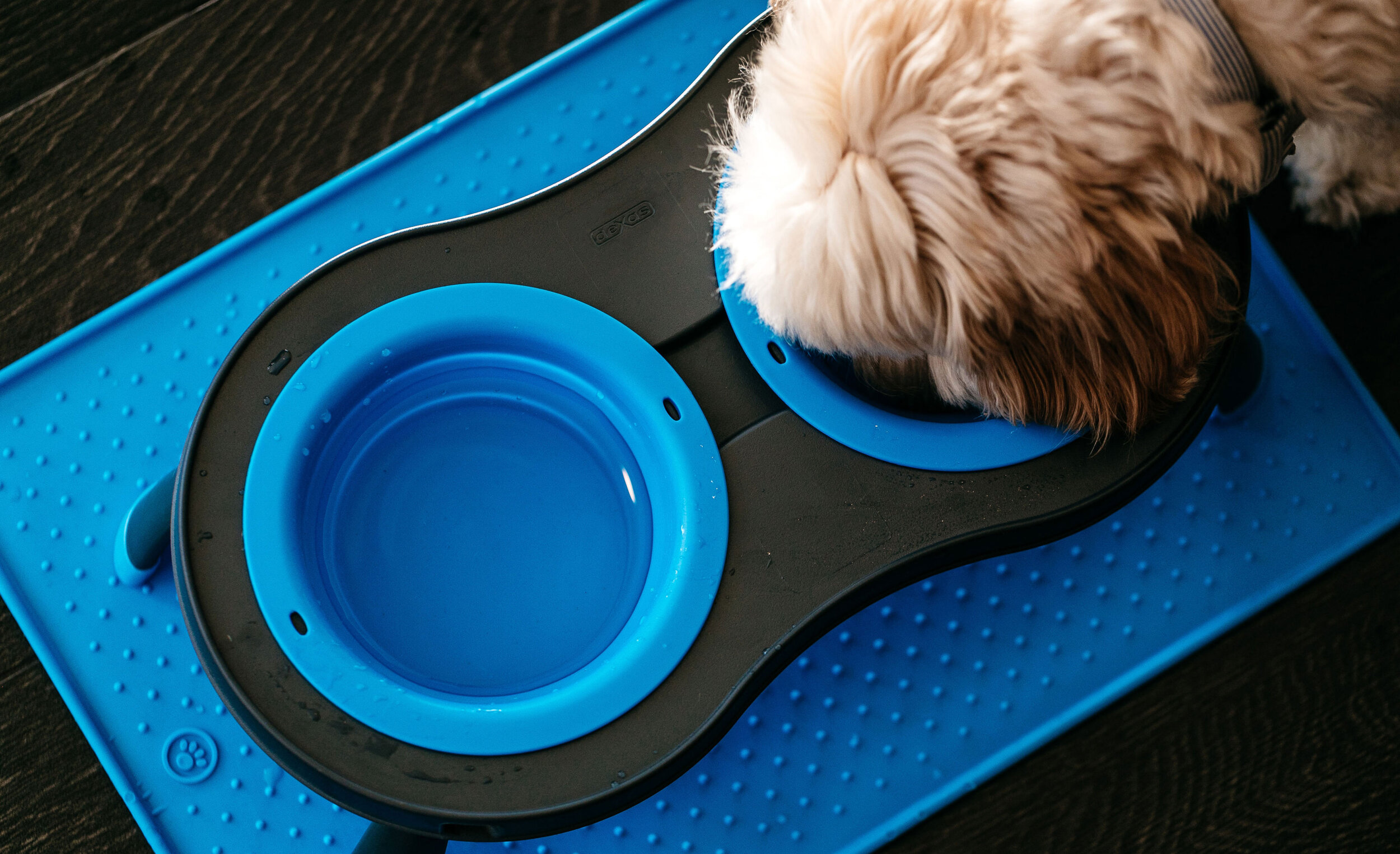 Dexas Pets Grippmat Flexible Non-Slip Pet Placemat/Spill Catcher for Dog Bowls and Cat Bowls 
