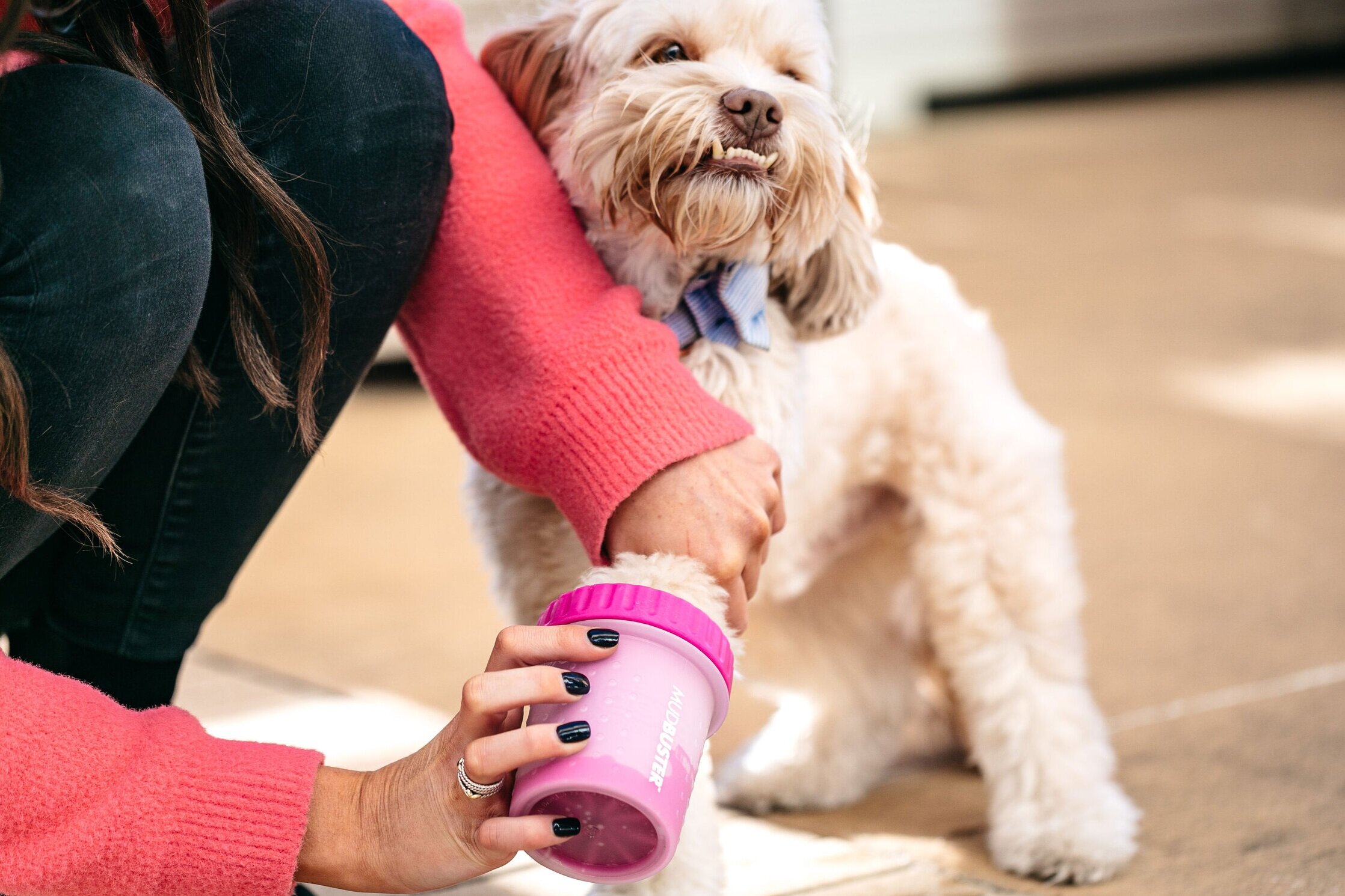 Keep Your Pet Healthy Year-Round with These 3 Accessories
