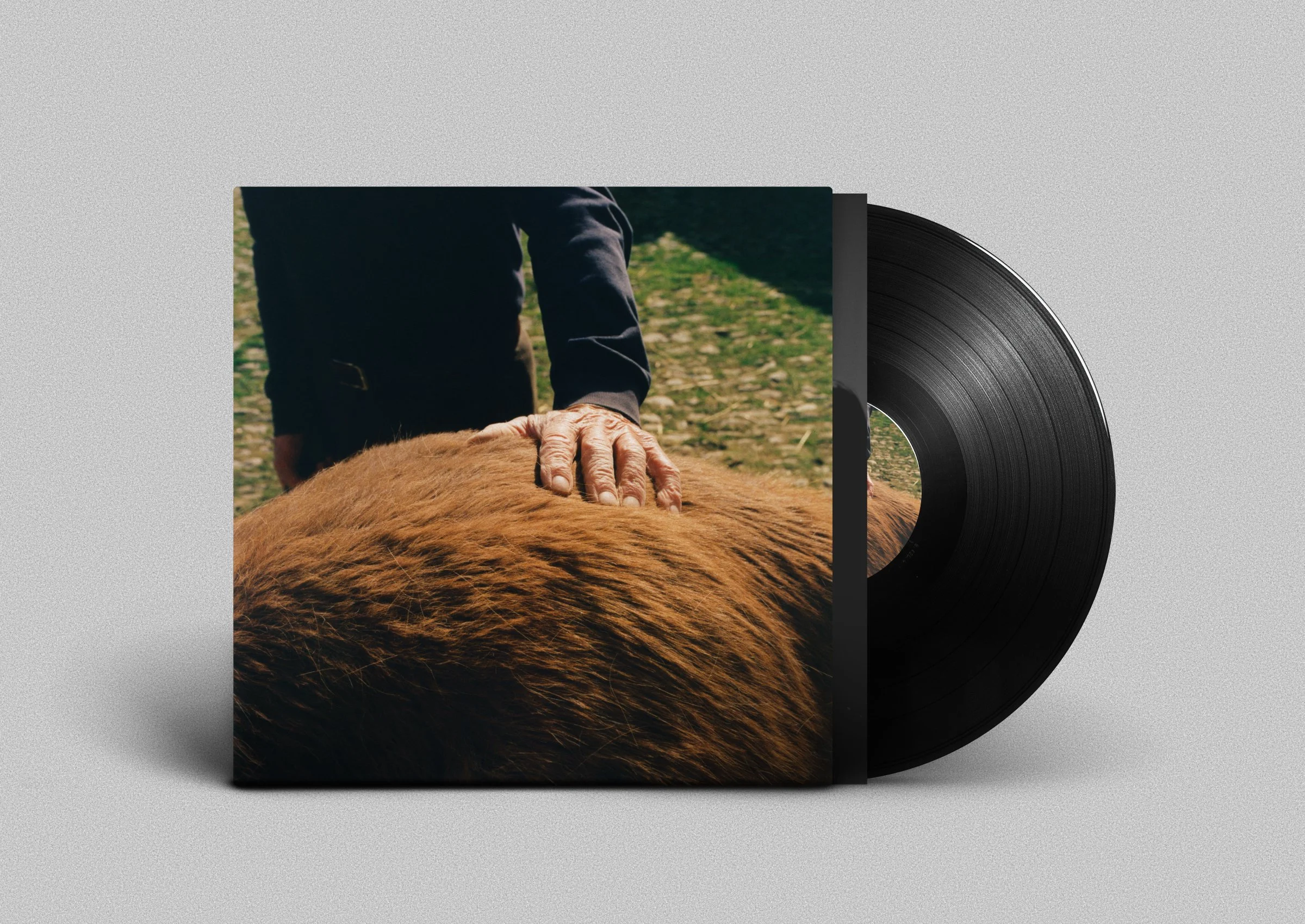 Held in the Dark (Vinyl pre-order)