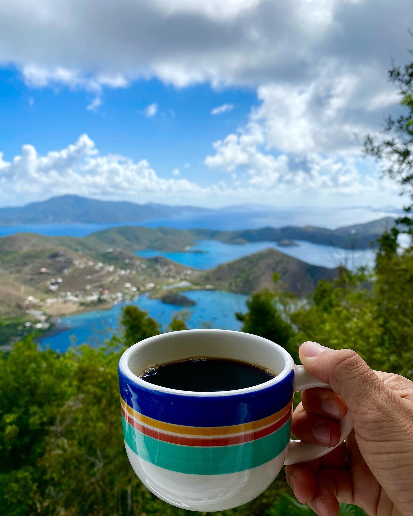 Whether you prefer your coffee black or with milk... it&rsquo;s always better with an unbelievable view!! ☕️☀️🌴🌊

#driftwoodproperties #monkeynoclimb #bordeaux #stjohn #virginislands #pool #stjohnvillas #landscaping #palmtree #view #coffee #coralba