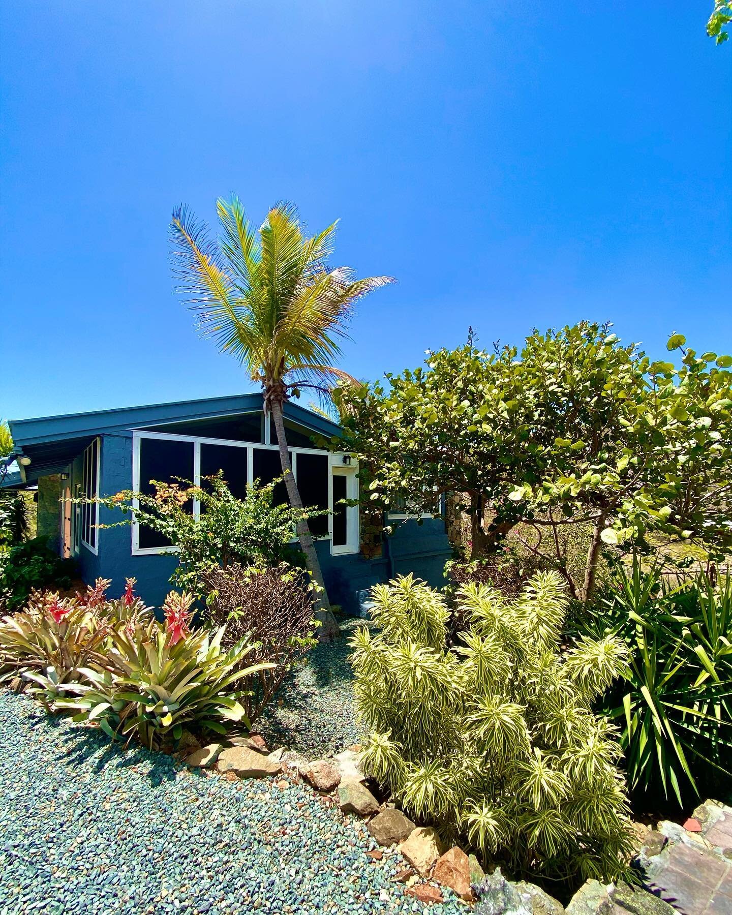 Blue sky and no clouds in sight! The palm trees and plants at Villa Pura Vida are catching all of the sunny rays ☀️🌴🌿

#driftwoodproperties #puravida #villapuravida #stjohn #virginislands #pool #stjohnvillas #landscaping #palmtree #propertymanageme