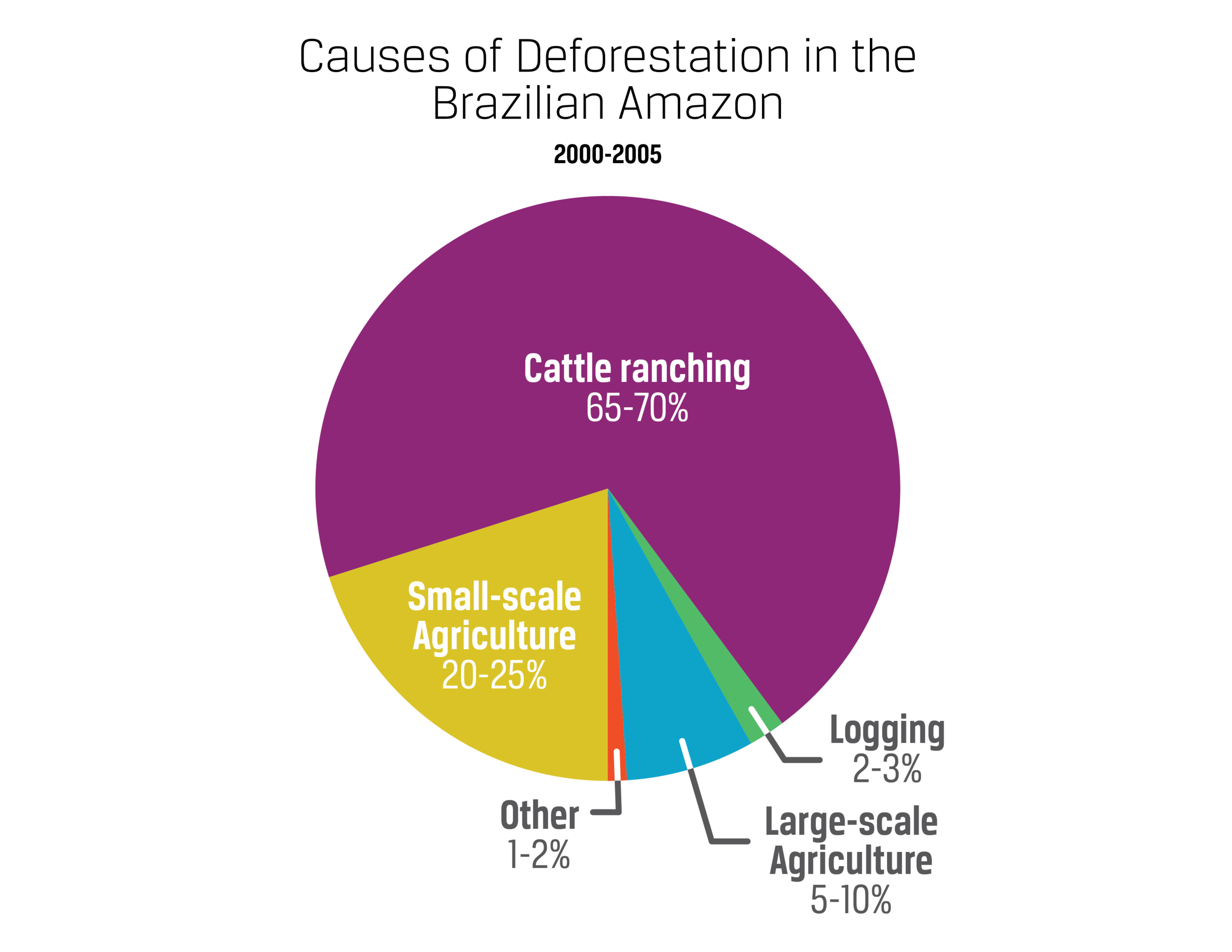 Deforestation in the  Rainforest - Ballard Brief