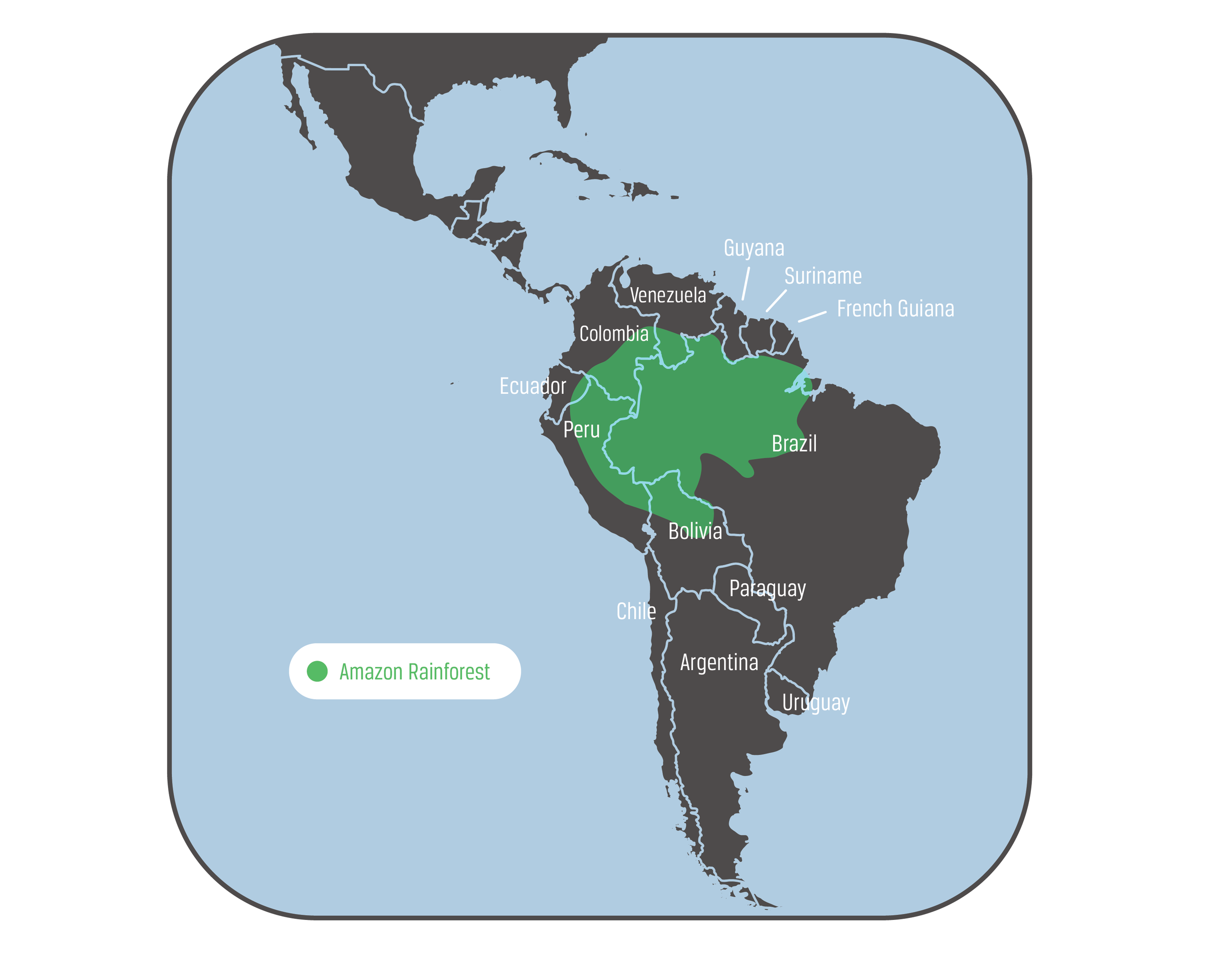 The Amazon spans more than 670 million hectares, making it the largest rainforest in the world.