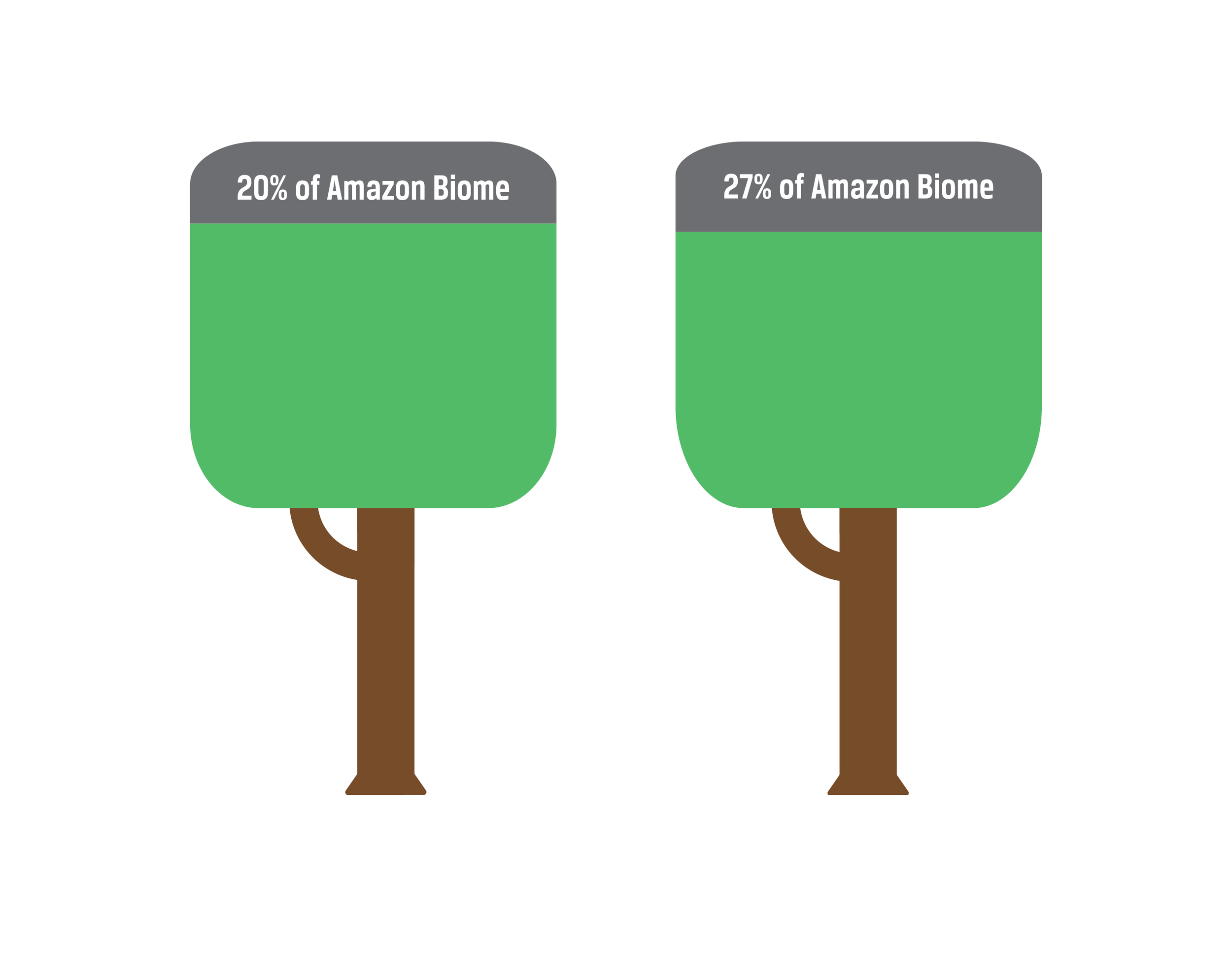 20% of the Amazon biome has been lost already, and it is estimated that 27% will be without trees by 2030 if the current rate of deforestation continues.