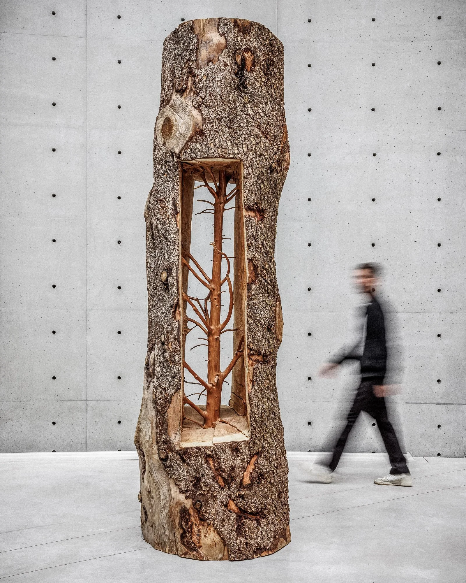 L’Arbre dans l’Art