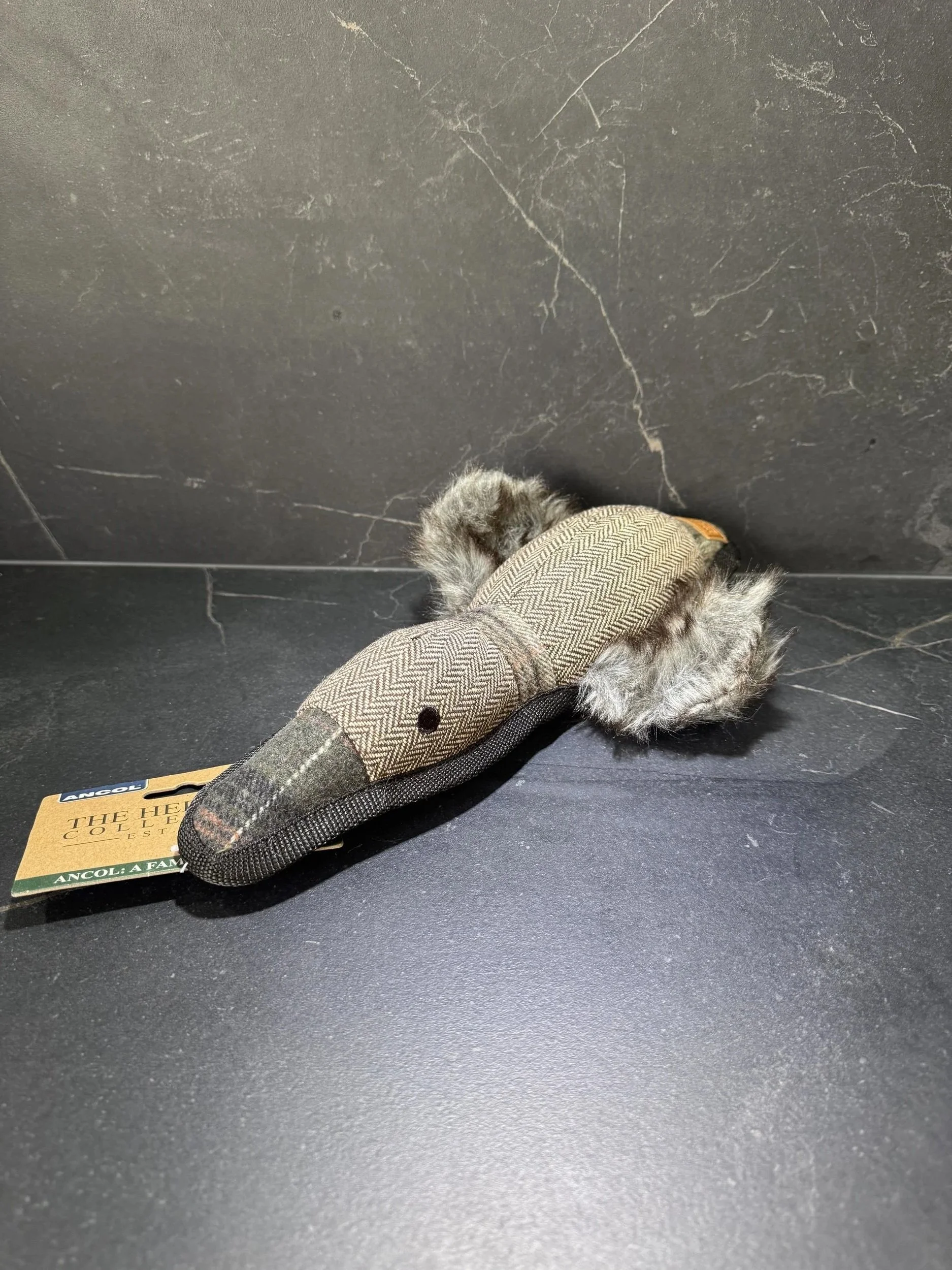 Duck+Toy.jpg