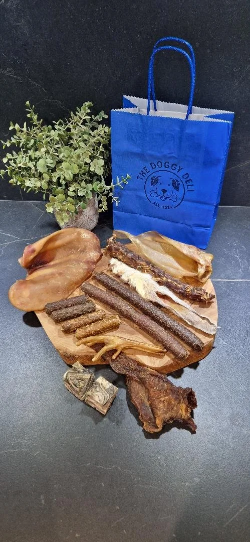 Winter Bundle 2026.jpg