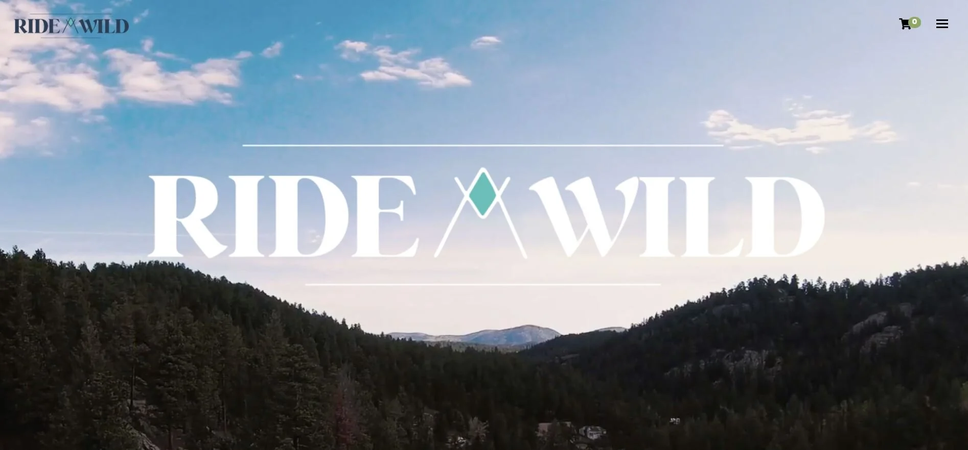 Custom Website Screenshot.JPG