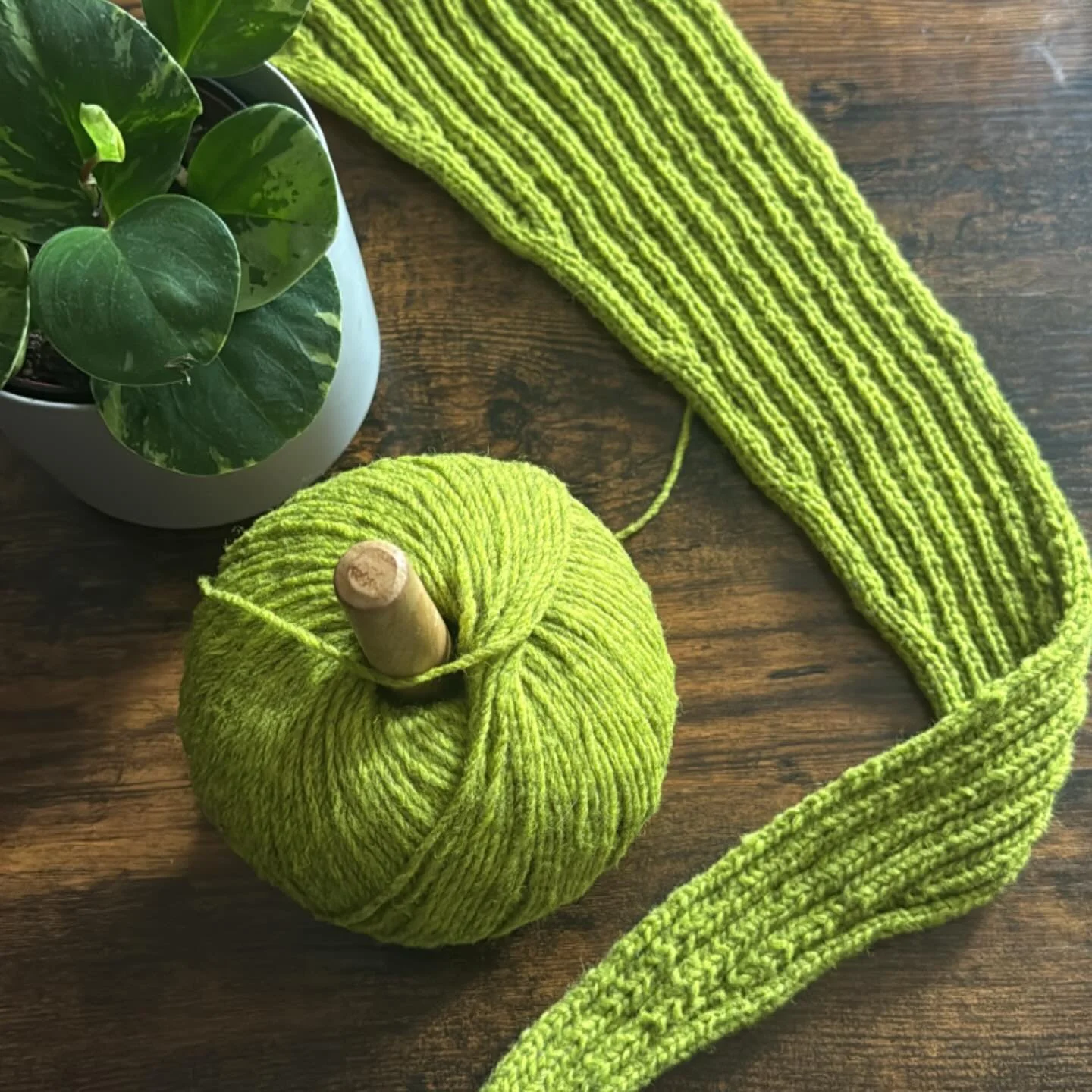 Working on a Grinch Green #AlexHood just in time for the Holiday Season 🎄💚

Pattern: Alex Hood by @knittingforolive
Yarn: @wooldreamers Mota in colorway 442G

#CraftedbyKirsten #KnitHood #KnittingForOlivePattern