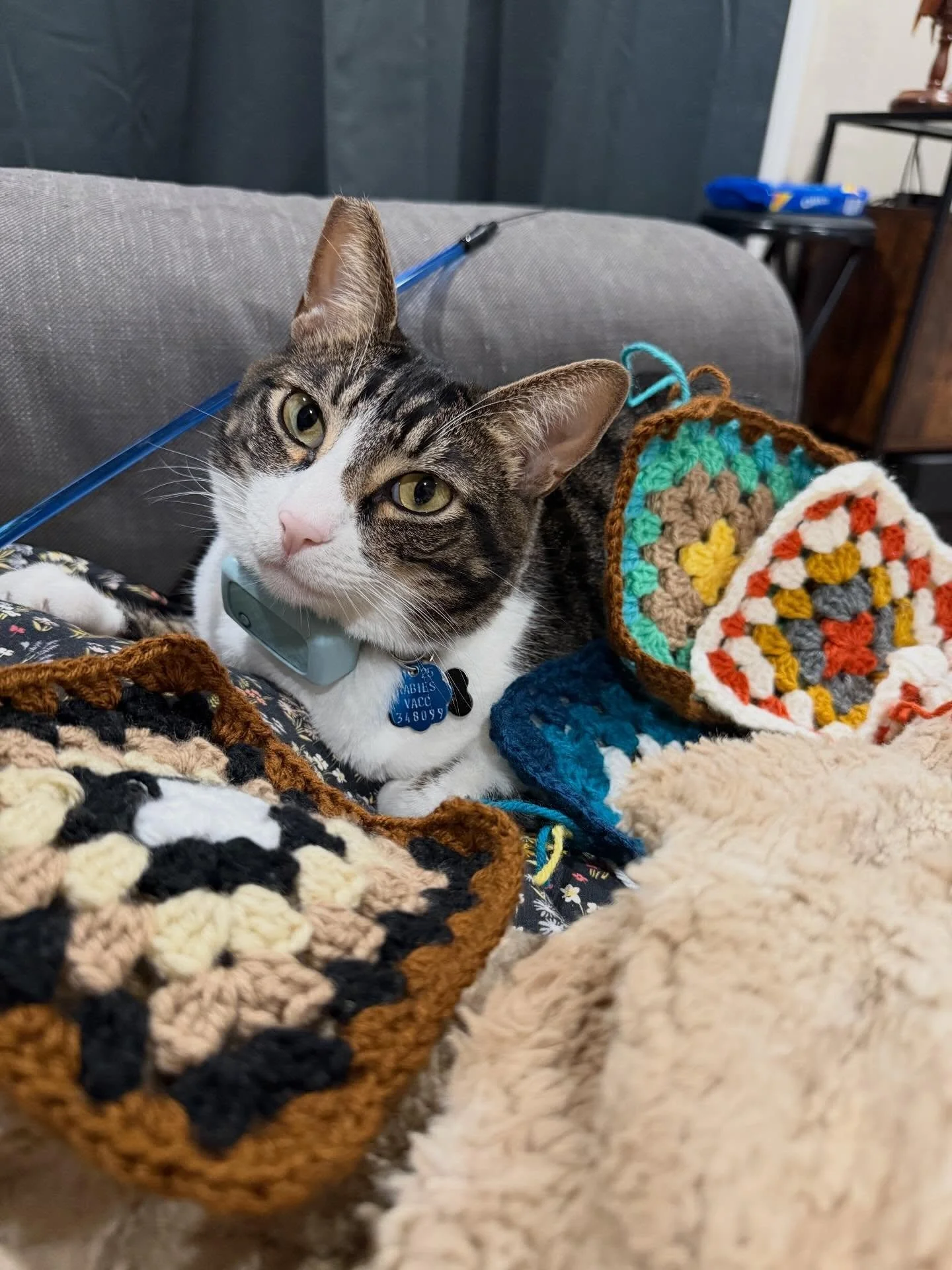 February book squares are finally done 📚 

Four books last month and still on track to reach my book goal for the year! Already finished two books for March and have several books I&rsquo;m excited to read next

Shout out to Spruce for being the mos