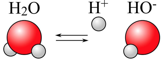 What Is Needlepoint Bipolar Ionization and How Does It Work?