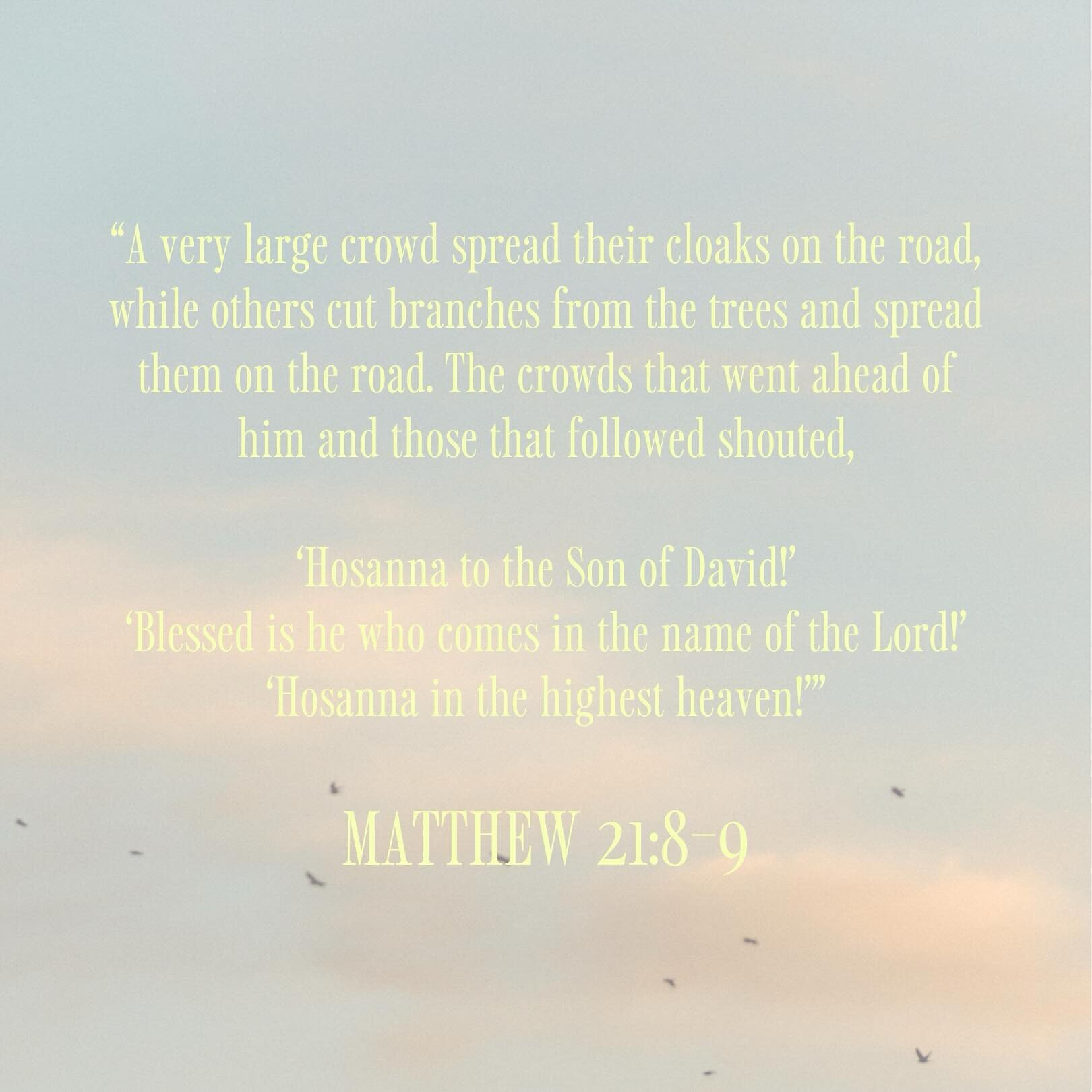 &ldquo;Hosanna is a Hebrew term used for praise, literally meaning save. We can picture it! Jesus Christ, Savior of the world, was welcomed into His most crucial moment with praise. It was like the whole city knew He was the one who would save them.&