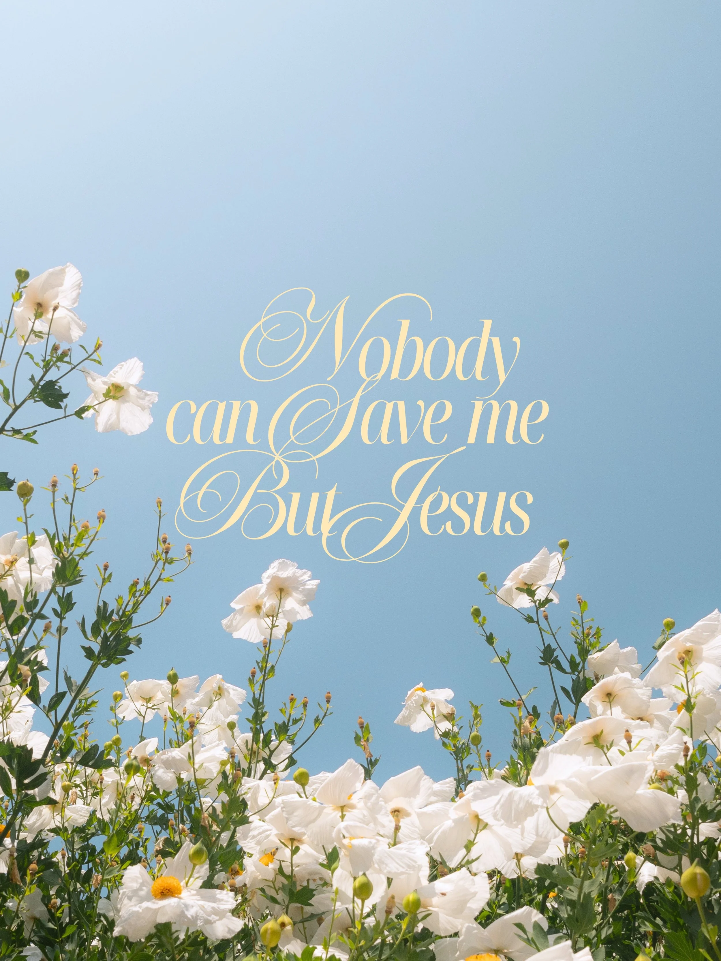 need a new summer wallpaper&hellip; screenshot these 👀 🤩

all quotes taken from our study &ldquo;Room to Grow&rdquo;, comment &ldquo;study&rdquo; to grab a copy! 💖

#delightministries #womensbiblestudy #summerbiblestudy #christian #christiangirl