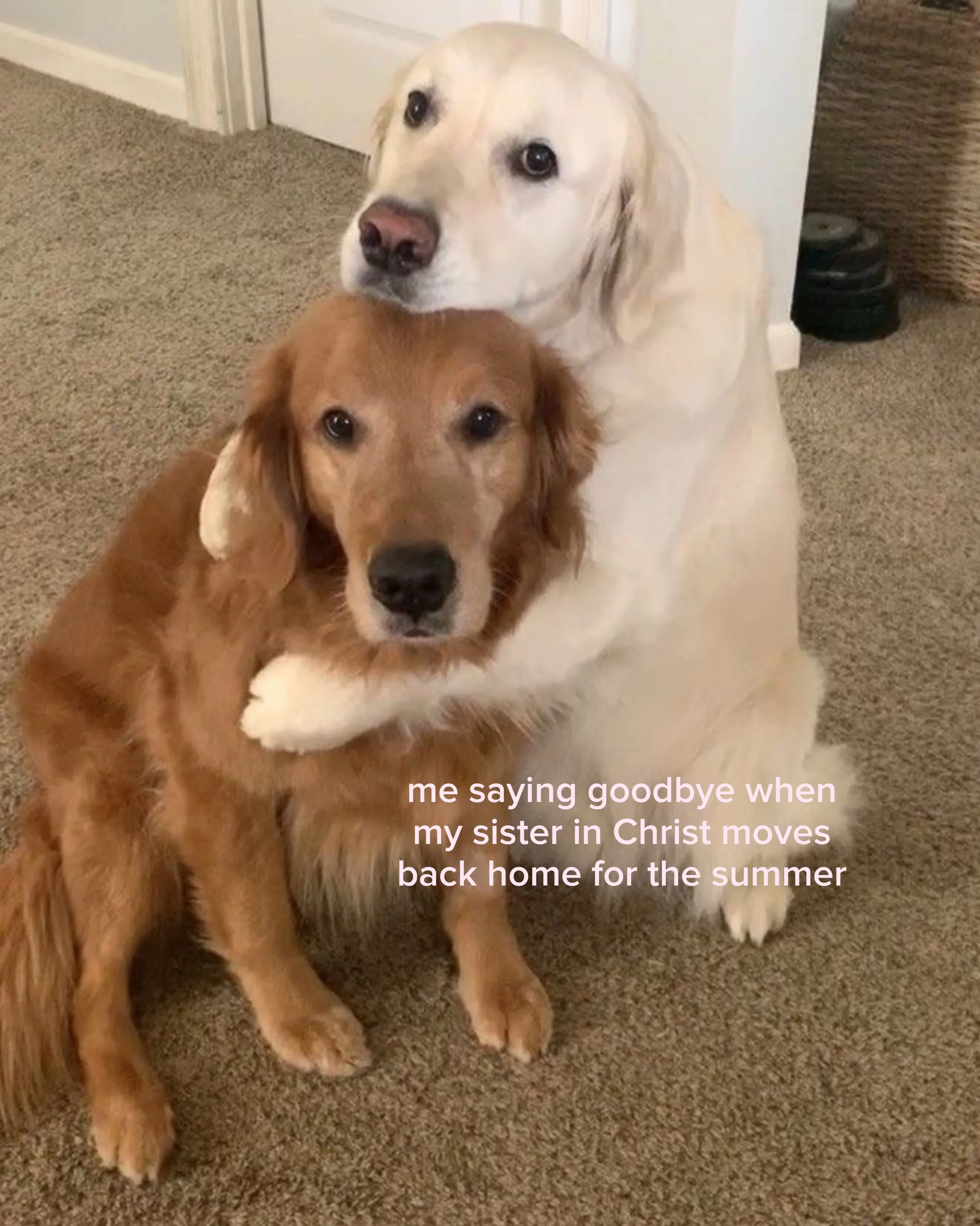 send the most relatable one to your bestie 👯&zwj;♀️ 💞 

looking for Christian community where you can get deep and grow in your faith when you get back on your campus? YOU could start that community by just commenting &ldquo;chapter&rdquo; for an i