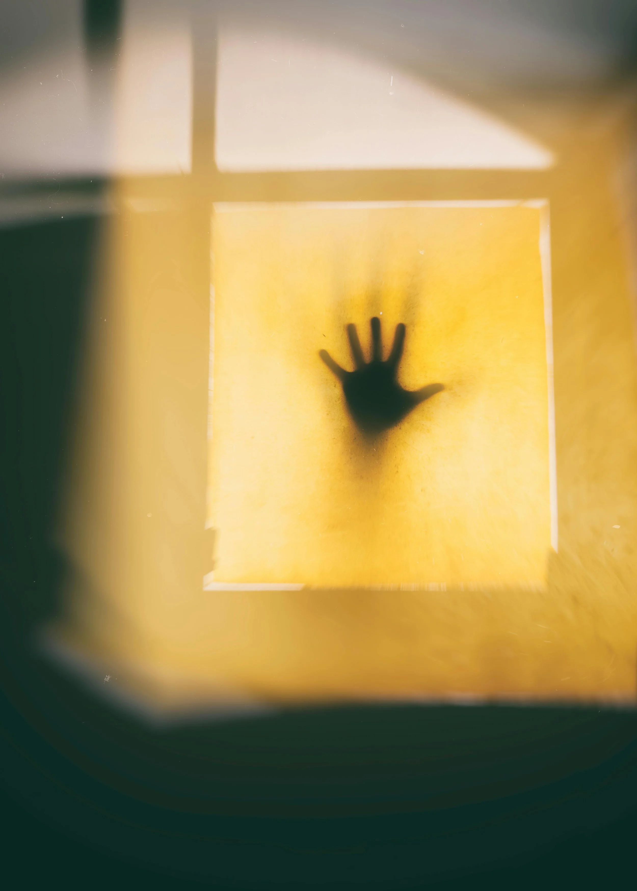 When Fear Goes Mainstream

