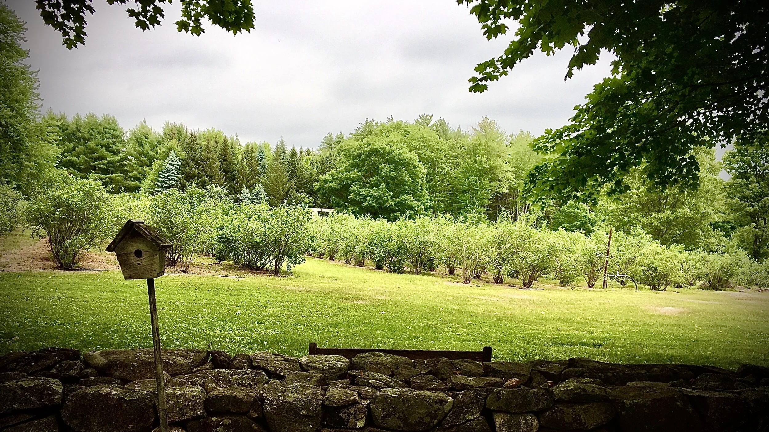 Grounding Stone Farm