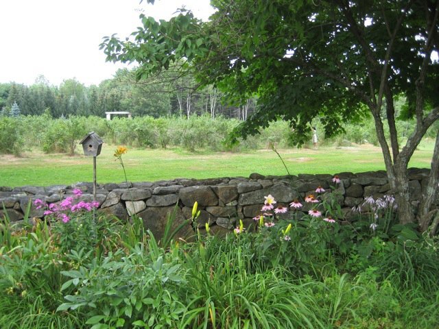 About — Grounding Stone Farm