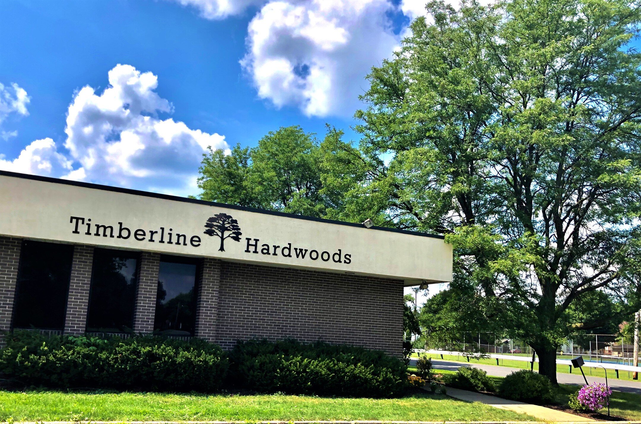 Missing summer and sunshine in NY! We have some GREAT hardwood flooring DEALS going on right now....less than $3/sf! 585-509-0575 7 West Ave Manchester NY #timberlinehardwoods #deals #manchesterny #hardwood #whiteoak #residential #commercial #home #h