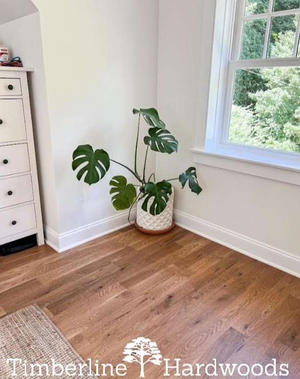 Timberline's beautiful Plain Sawn White Oak! Love how the hardwood flooring stands out against the white walls! Simple, elegant, and adds warmth to any room. Photo compliments of @coastalconceptsct. They do BEAUTIFUL work!! Call us for questions or t