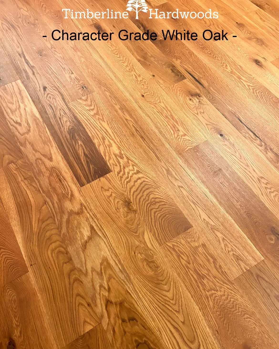 Timberline's beautiful natural Character Grade White Oak selling at less than $3/sf! If you have a family/pets, this flooring can hide imperfections like scratches, dents, and everyday wear. The knots and different colors in each board adds a warmth 