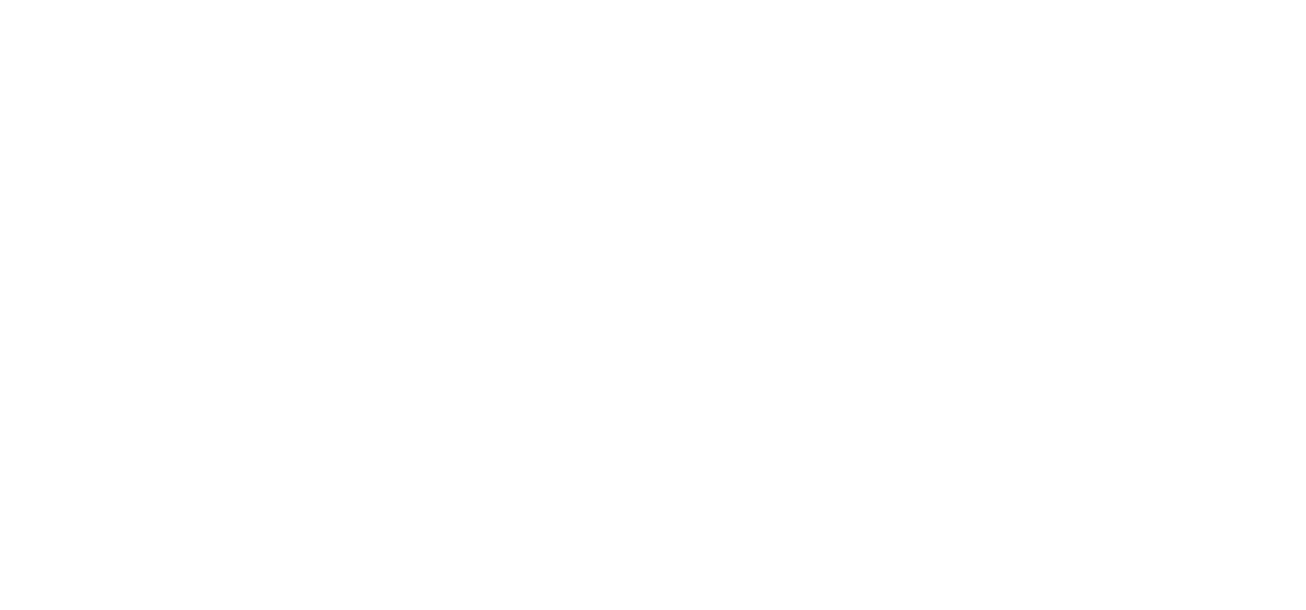 Mint Talent Group