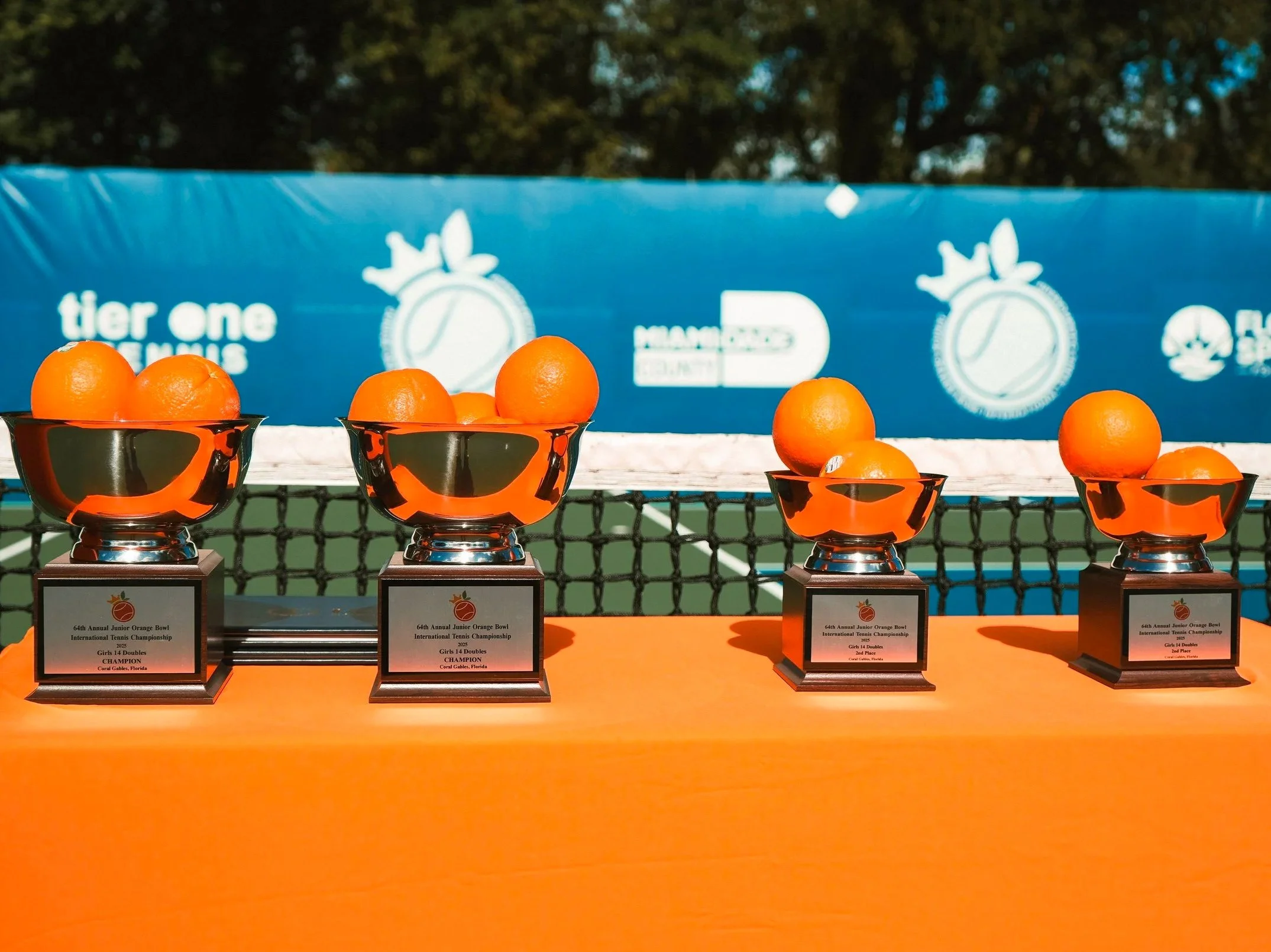 Sports Properties & Clubs