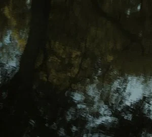 Satellite - Joel Pickard 