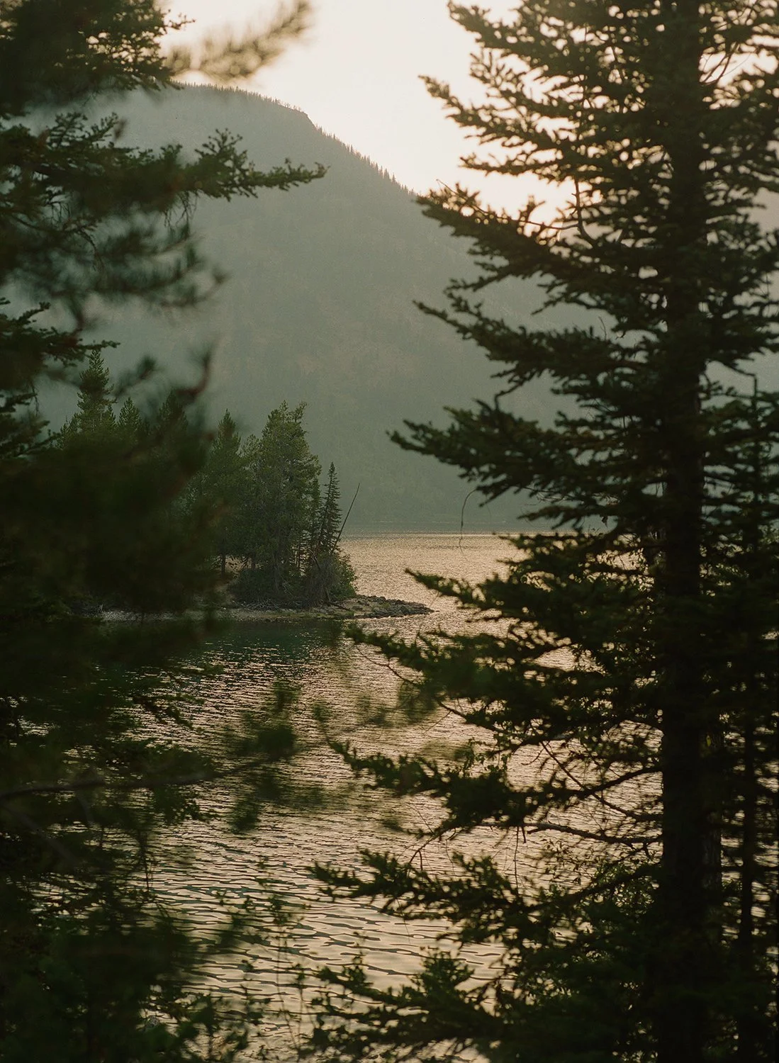 Grand Teton National park_KodakPortra800_Jenny Lake 2.jpg