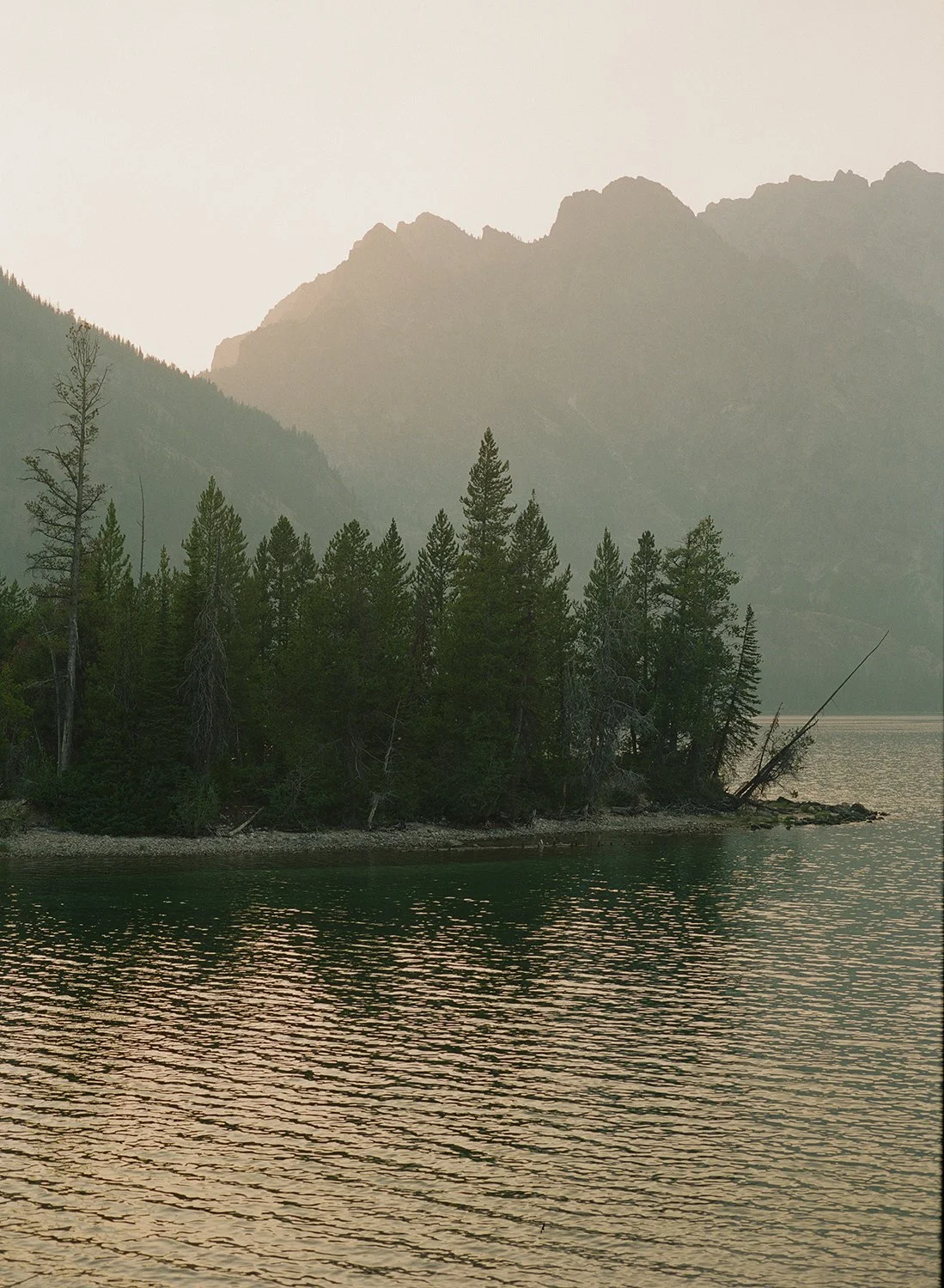 Grand Teton National park_KodakPortra800_Jenny Lake.jpg