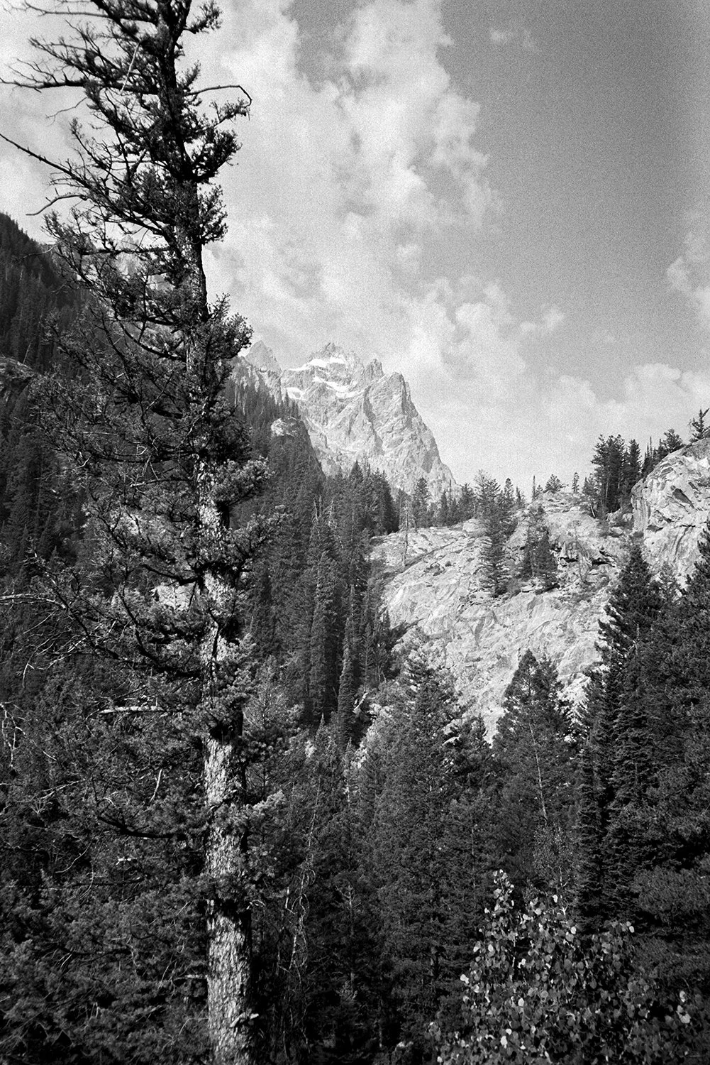 Grand Teton National park_KodakPortraektapan400_Inspiratin Point.jpg
