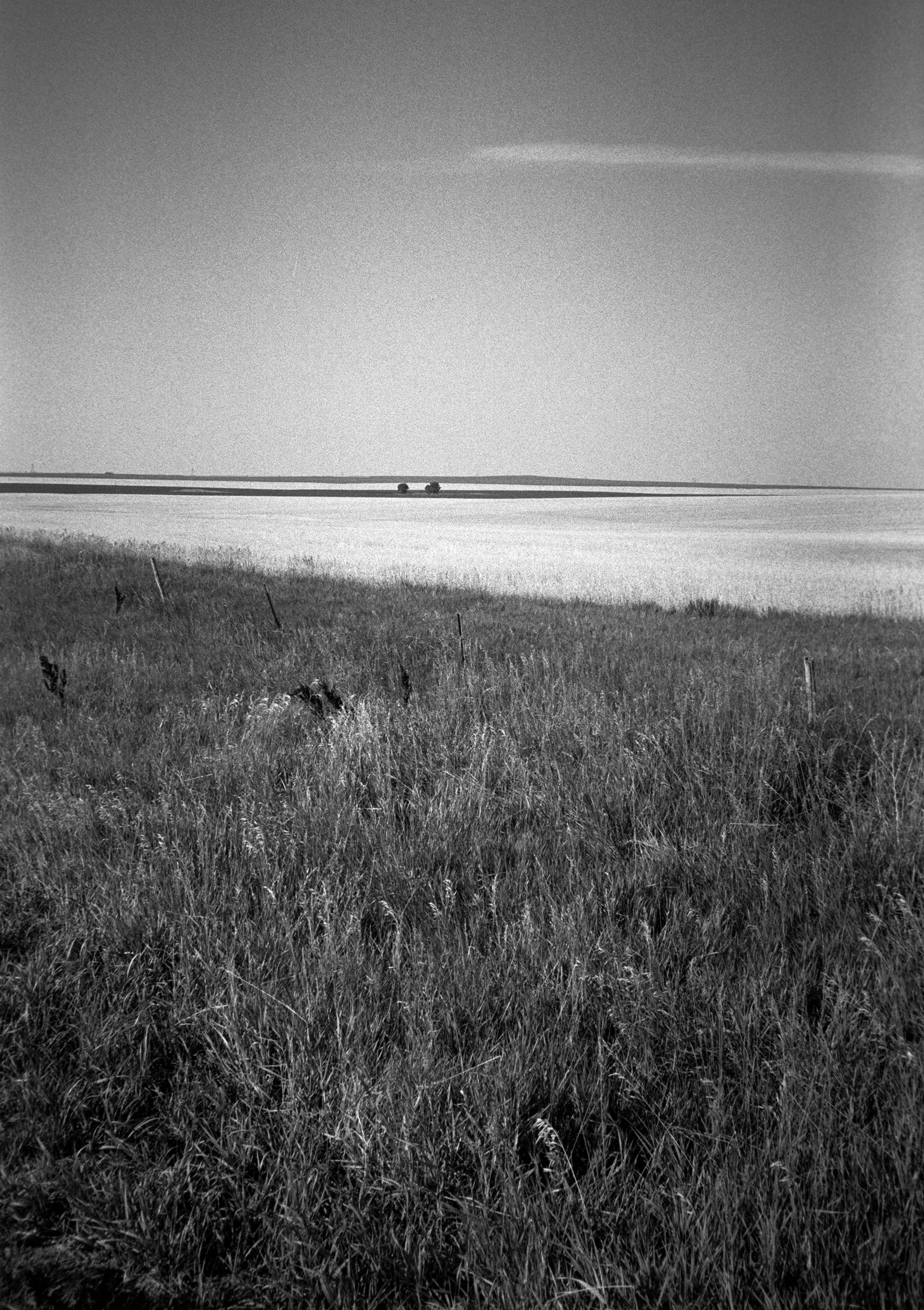 Joe Hubers_Kodak Ektapan400_South Dakota_Field.jpg